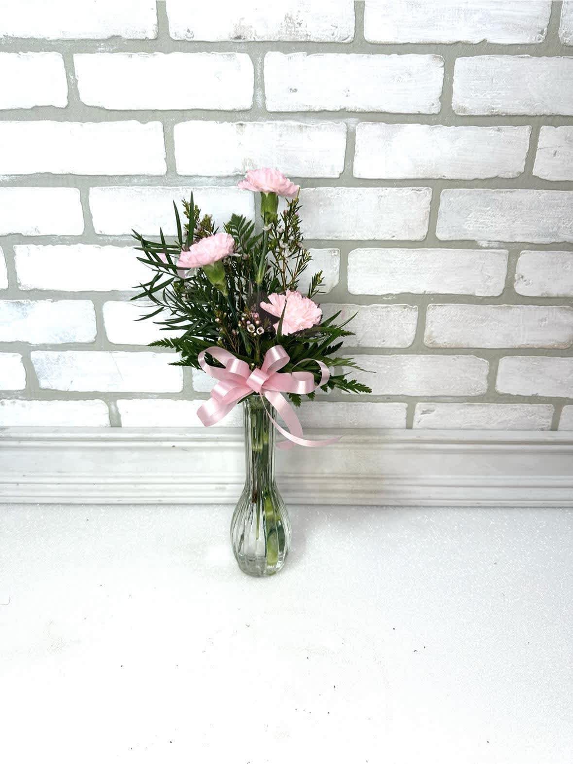Pink Carnation Vase - 3 beautiful carnations arranged in a bud vase. A classic look for any occasion. Other color options may be available. 