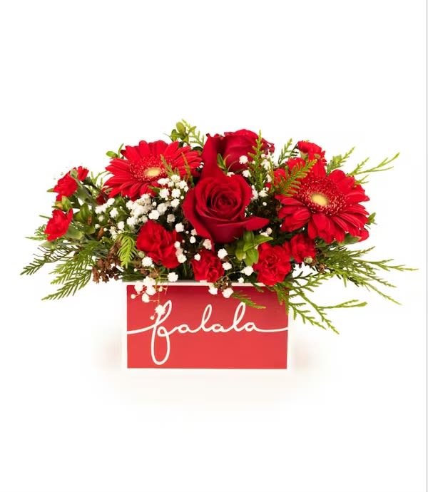 Fa La La Christmas Centerpiece - Bring cheerful holiday spirit into any home with the Fa La La Christmas Centerpiece - a festive, full, and vibrant arrangement designed in a charming red container that reads "fa la la". This joyful piece features lush red roses, bold red gerberas, red mini carnations, baby's breath, and fresh winter greens, all arranged in three beautiful rows for height, depth, and fullness.  This is an all-around design, meaning flowers are placed on every side - not just the front - making it perfect as a table centerpiece, a dining-room accent, an office gift, or a holiday décor piece anywhere in the home. The picture shows one view, but the true value and fullness of this arrangement can only be appreciated in person.