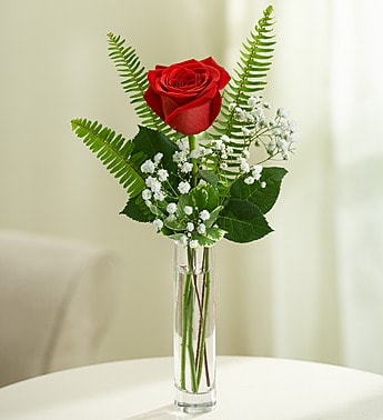 Love's Embrace Roses - Red - Product ID: 1030  Embrace your feelings with a classic gift of long-stem red roses. Displayed elegantly in a glass vase and artistically designed by our select florists, these stunning roses send a memorable message to your special someone that help you express yourself perfectly, no matter what the occasion. Fresh long-stem red roses, artistically arranged by our florists with fresh gypsophila Available in arrangements of 6 roses, 3 roses or a single long-stem rose 6-stem arrangement in an 5"H glass cube vase measures approximately 7.5"H x 5.5"L 3-stem arrangement in a glass bud vase measures approximately 16"H x 4"L Single-stem arrangement in a bud vase measures approximately 16"H x 4"L Our florists hand-design each arrangement, so colors, varieties, and container may vary due to local availability