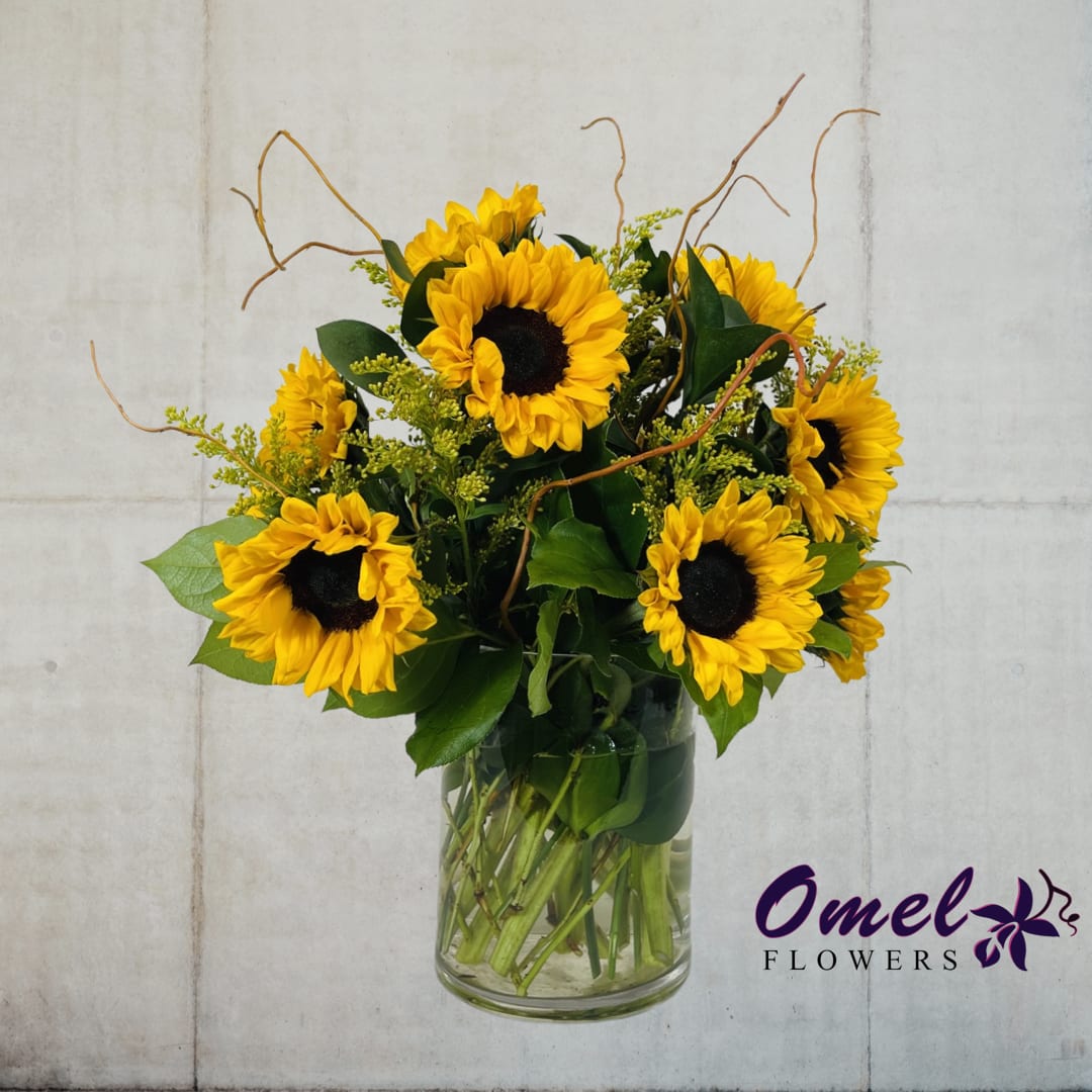 Sunny Sunflowers - Brighten Your Day with Our Springtime Smiling Sunflowers - Looking for a simple yet exquisite arrangement that will bring a touch of sunshine to your home or office? Our stunning bouquet features vibrant sunflowers and coordinating foliage, expertly arranged in a clear glass vase. Perfect for any occasion, this delightful arrangement is sure to put a smile on your face and brighten up any room.