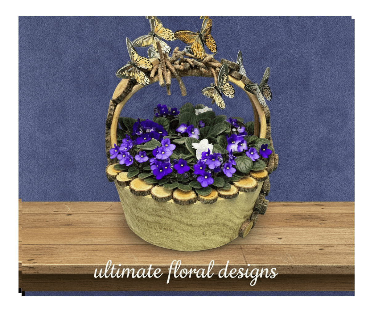 Whispering Wings Violet Basket - A charming and nature-inspired violet plant arrangement presented in a handcrafted wooden basket, accented with natural branch details and delicate butterfly adornments. Lush green foliage and deep violet blooms create a sense of serenity and woodland elegance, making this piece both artistic and timeless.  Whispering Wings is perfect for spring gifting, nature lovers, thank-you gestures, or as a decorative accent for homes, offices, and boutique spaces. Designed to be long-lasting and easy to care for, this arrangement brings beauty and joy well beyond the moment it is received.