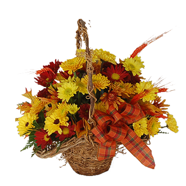 Autumn Mum Basket  - Autumn Mum Basket What more fitting arrangement for fall than a basket of chrysanthemums decked out with wheat and autumn leaves. Autumn Mum Basket #fallflowers  #autumnflowers  #samedaydelivery  #FlowerGirls  #hospitaldelivery  Autumn Mum Basket