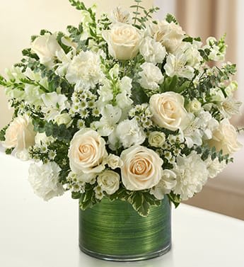 Cherished Memories - All White - Product ID: 95379   Send a gift of lasting tribute and touching remembrance of a life well lived. This striking, all-white arrangement of roses, spray roses, snapdragons, alstroemeria, carnations and more, elegantly arranged by hand in a graceful cylinder vase. A lovely gift of comfort and honor. Fresh arrangement of white roses, spray roses, snapdragons, alstroemeria, carnations, mini carnations, and monte casino, gathered with variegated pittosporum and spiral eucalyptus Hand-designed by our expert florists in a stylish clear glass cylinder vase wrapped with a Ti leaf ribbon; vase measures 6"H Appropriate for the service or for sending to the home of friends and family members Large arrangement measures approximately 16"H x 17"L Medium arrangement measures approximately 15"H x 16"L Small arrangement measures approximately 14"H X 15"L Our florists hand-design each arrangement, so colors, varieties, and vase may vary due to local availability