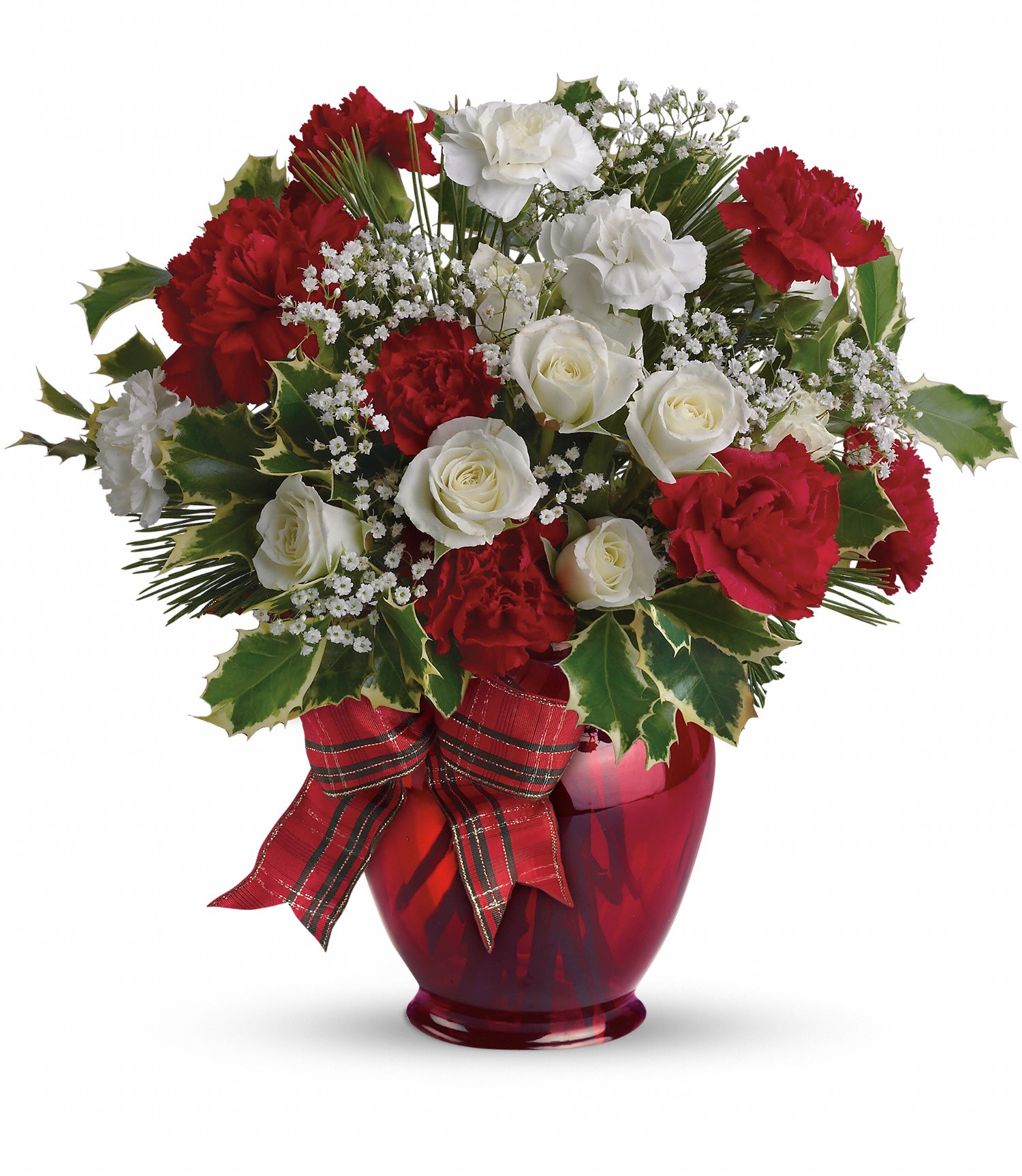 Holiday Splendor - Red and white roses and carnations, festive holly and pine are delivered in a ruby red ginger vase that's all wrapped up with a red ribbon and ready to glow. Approximately 12" W x 12" H