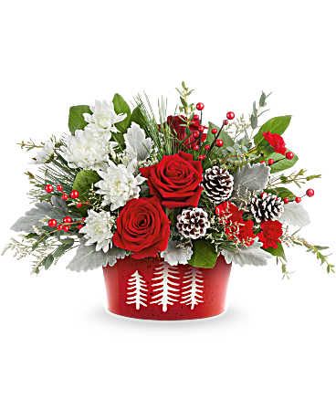 Snowy Pines Centerpiece - Celebrate the season with Snowy Pines Centerpiece. Bursting with red roses and white blooms in Teleflora's Snowy Pines Dish, this festive design brings winter magic to Christmas tables and holiday gatherings. Snowy Pines Centerpiece features red roses, red miniature carnations, white cushion spray chrysanthemums, and white limonium. Accented with dusty miller, parvifolia eucalyptus, salal, white pine, and frosted pinecones in Teleflora's food-safe Snowy Pines Dish Approximately 17 1/2" W x 11 1/2" H