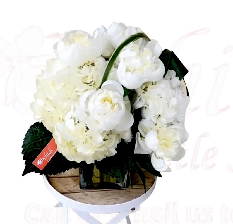 White Peonies &amp; Hydrangeas Arrangment Cube Vase - This exquisite arrangement features vibrant peonies and lush hydrangeas elegantly presented in a sleek glass cube. It's the perfect centerpiece to convey heartfelt emotions or to create a truly unforgettable display. The versatile design complements both contemporary and classic décor, making it an ideal choice for coffee tables, office spaces, or even elegant wedding receptions. Whether you're celebrating a special anniversary, offering compassionate sympathy, or simply seeking a thoughtful and memorable gift, this arrangement is sure to make a lasting impression.