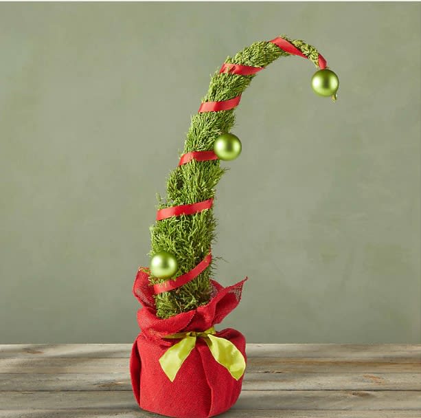 Grumpy Christmas Tree – Live Holiday Cypress - A whimsical fresh holiday cypress tree designed with a playful curved shape and festive accents, bringing charm and personality to seasonal décor. Presented in a decorative wrap, this fresh tree arrangement can be fully enjoyed indoors during the holidays.  Perfect for Christmas décor, unique holiday gifting, or adding a nostalgic touch to the season. Available for delivery in DeLand and surrounding Central Florida areas. Tree shape, ornaments, and wrapping may vary slightly based on availability while maintaining overall style, quality, and value.