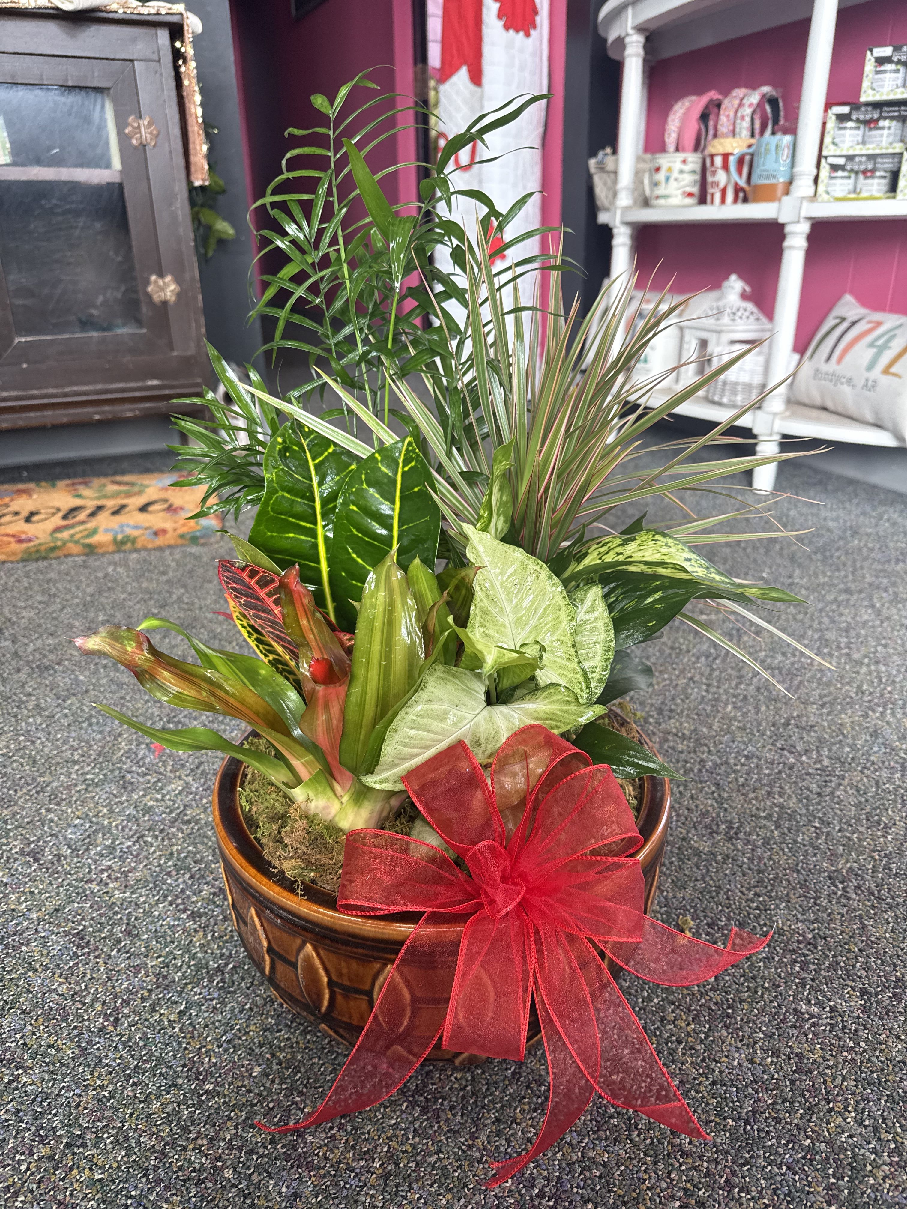 Large Dish Garden - Our Large Dish Garden is a full and lush arrangement of mixed green plants, designed to bring lasting beauty and comfort to any space. Set in a generous container, this dishgarden is perfect for sympathy, office displays, or anyone who loves having a touch of nature indoors.  Each one is hand-designed with a variety of easy-care plants and can be accented with a bow, fresh flowers, or a keepsake item upon request.