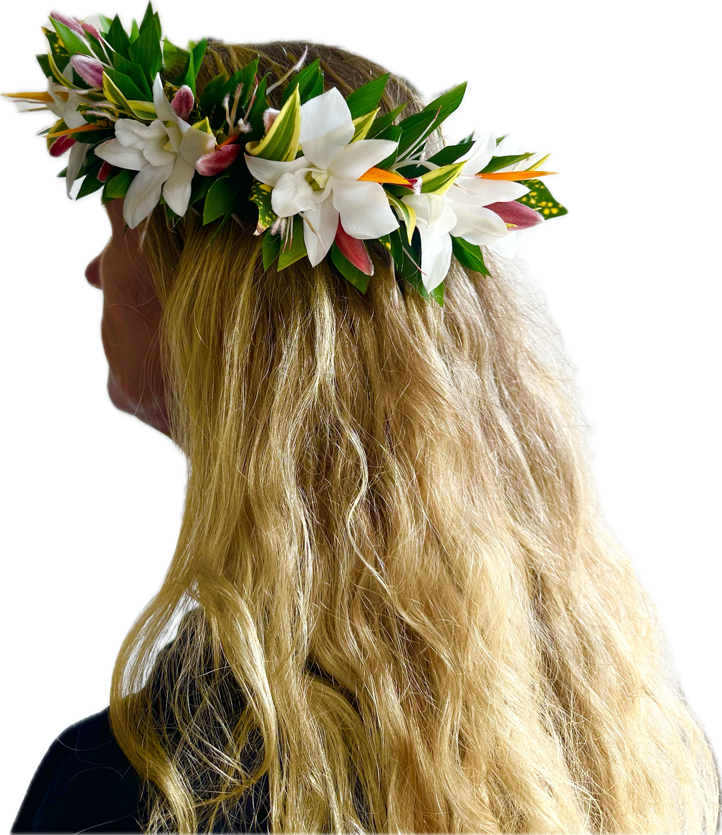 Lokanā Tropical Lei Po'o - Crafted with white Dendrobium or Phalaenopsis orchids, this tropical lei po'o (head lei) exudes elegance and purity. Each bloom is carefully arranged in the traditional haku style, braided together with lush tropical greens such as ferns, ti leaves, song of India, and croton leaf.  Symbolizing grace, purity, and aloha, white orchids make this lei po'o a perfect adornment for weddings, hula, or any sacred celebration. A timeless expression of beauty and tradition, worn with pride and honor.