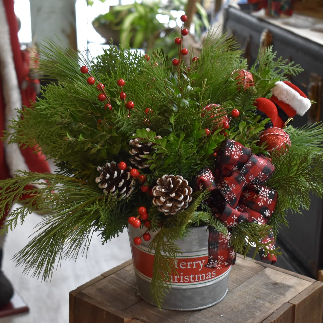 Hearthside Evergreen - An abundant mix of fresh evergreens, pinecones, and seasonal touches — simple, natural, and unmistakably festive.