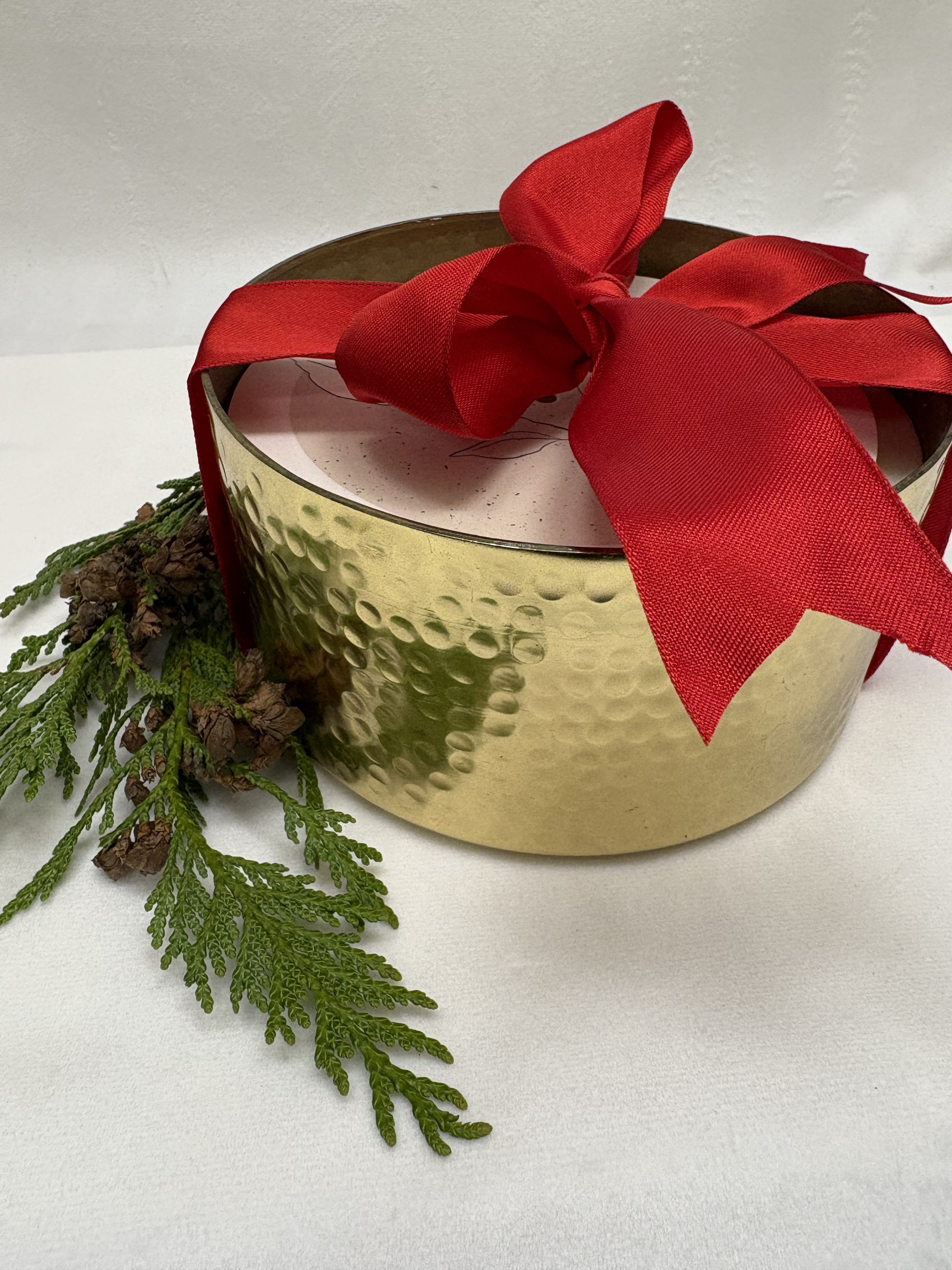 Fireside Candle - Delightful holiday candle scented with hints of apple, jasmine, sage, and sandalwood 96 burn time