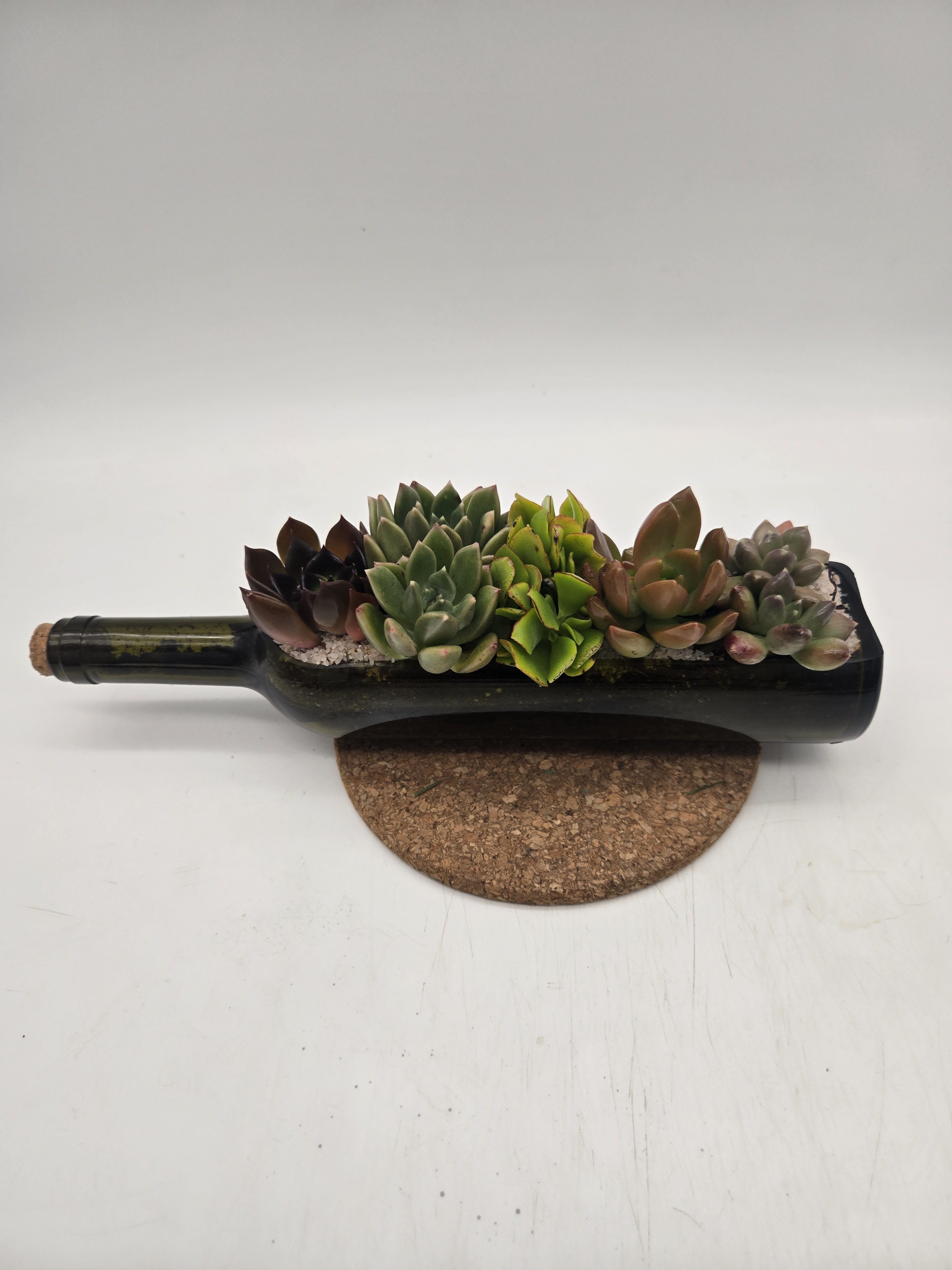 Just wine about it succulents *limited - Enjoy a succlent design hand crafted in a glass wine bottle 