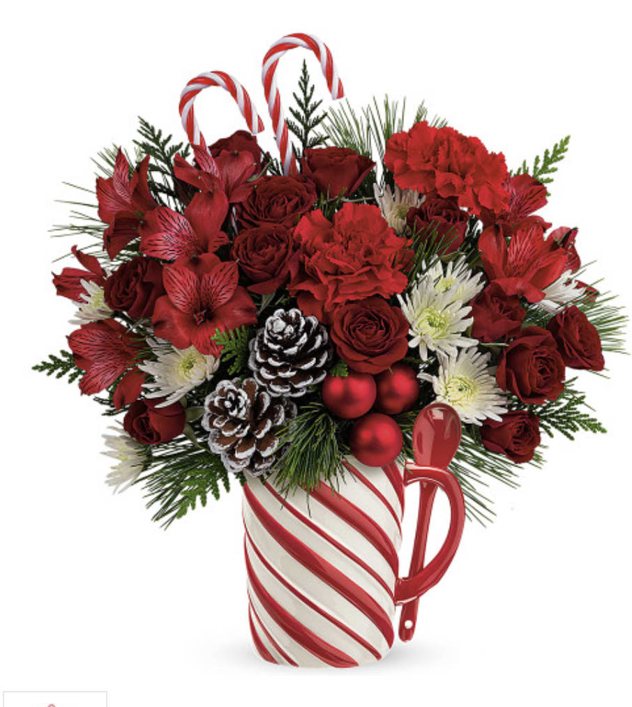 SWEET STRIPES BOUQUET - Warm their hearts with this sweet holiday bouquet, arranged in a hand-painted ceramic mug with sculpted stripes and a matching spoon! It's food safe for years of seasonal sipping delight. Red carnations, red alstroemeria and white cushion spray chrysanthemums are arranged with white pine and cedar. Delivered in Sweet Stripes Mug.