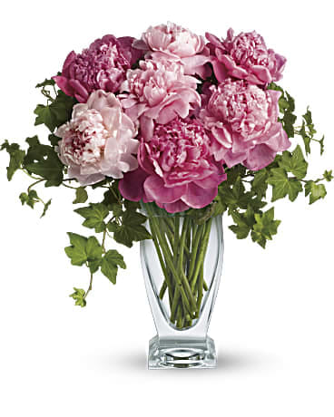  Perfect Peonies IN A REGULAR CLEAR VASE - 8 pink Peony perfection! Everyone loves the lush, cloud-like appearance of fresh cut peonies. Couture glass vase, Freshly cut pink peonies 
