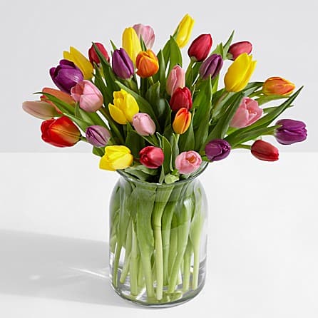 TULIPS SPECIAL -  Better Homes and Gardens Spring Tulip Bouquet just in time to celebrate the coming of spring! Tulips in a stunning array of colors including red, yellow, purple and pink are presented in a sparkling, heavy, cut glass vase that shimmers with just a hint of lilac purple. Choose this joyful tulip bouquet to send your happy birthday wishes, offer your congratulations or to say thank you, and your thoughtfulness will be remembered for many years to come.