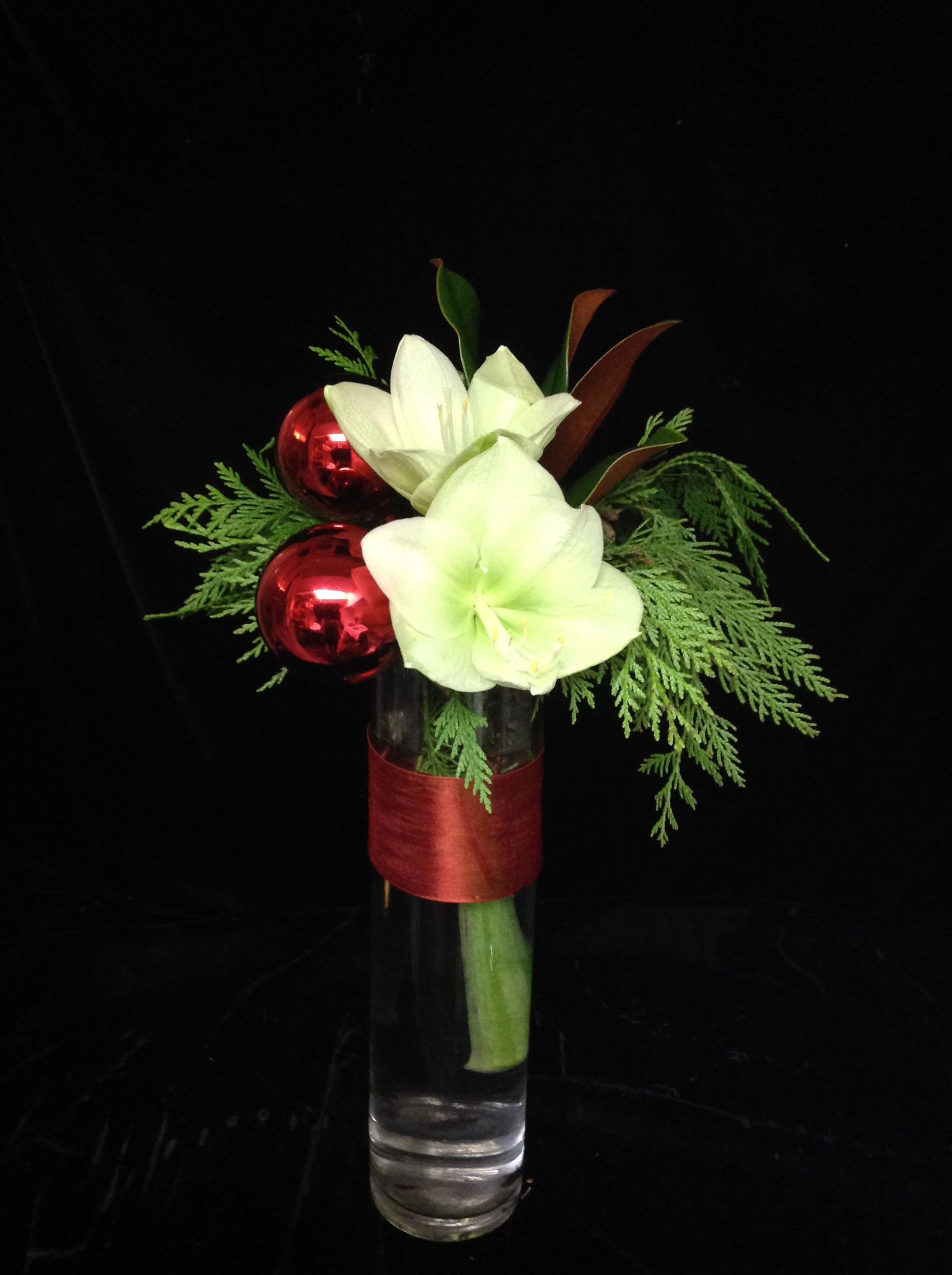 Amaryllis celebrations - Simple style of white amaryllis