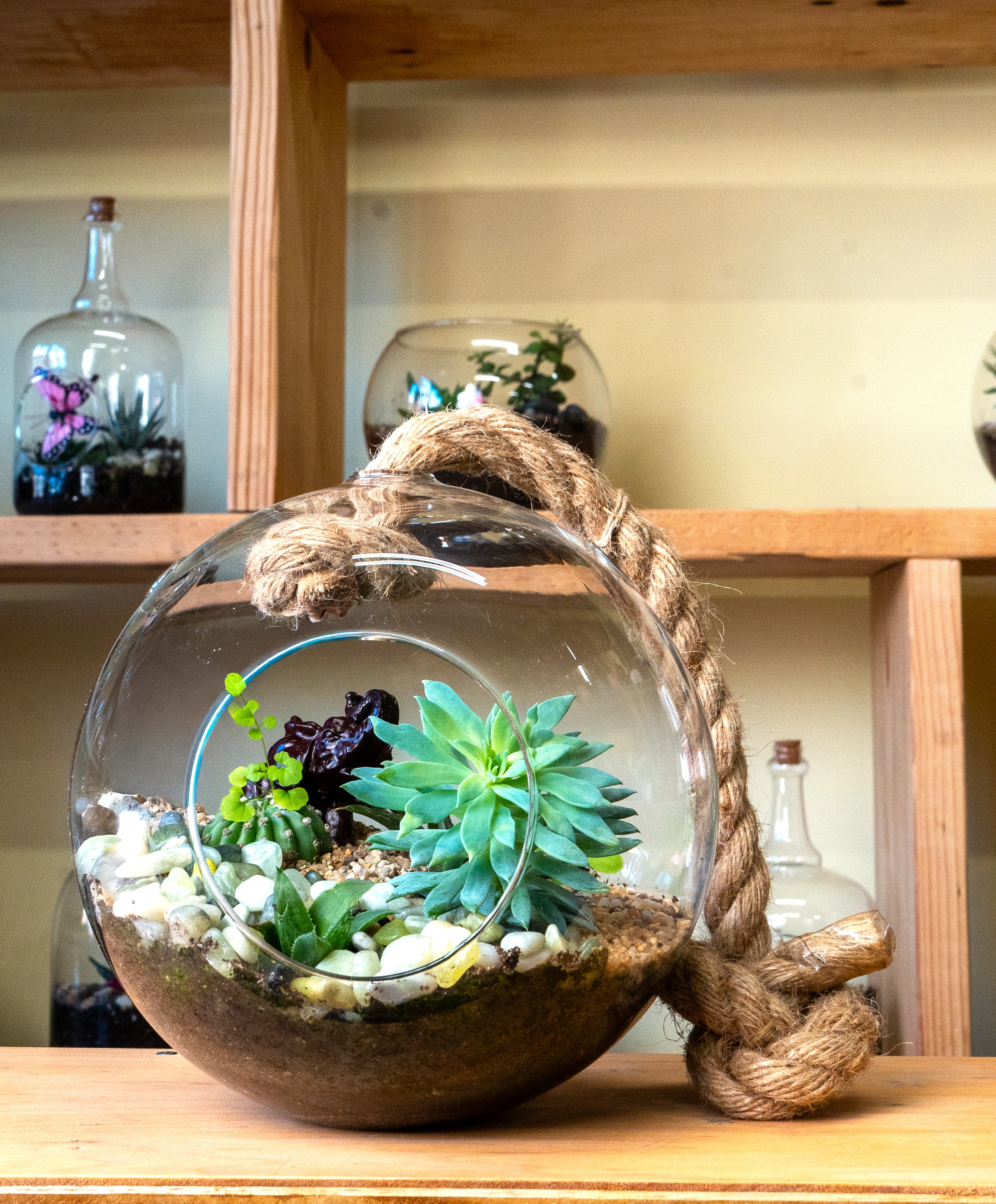 Large Hanging  Moon Terrarium - Hanging Terrarium self-contained, miniature ecosystem inside a clear glass container, often with a narrow neck, that recycles its own water and air, creating a humid microclimate for humidity-loving plants like ferns and mosses, requiring only indirect light and minimal intervention once established, acting as a living sculpture or educational tool for observing nature's cycles