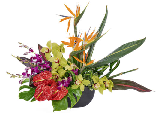 Bali - Bali is everything that you would dream about and the perfect gift for someone that needs a little dreaming. Bright, Sunny, Happy, Lovely and Bold and designed with the best tropical florals. Be ready to schedule that next vacation after seeing this.