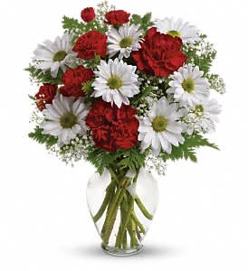 Kindest Heart Bouquet - A special show of kindness, on Valentine's Day or any day of the year! This eye-catching arrangement of red carnations, white daisies and delicate baby's breath will surprise and delight your special someone - and remain a treasured memory for years to come.  Red carnations, red miniature carnations, white daisy spray chrysanthemums, baby's breath and leatherleaf fern. Delivered in a spring garden vase.  
