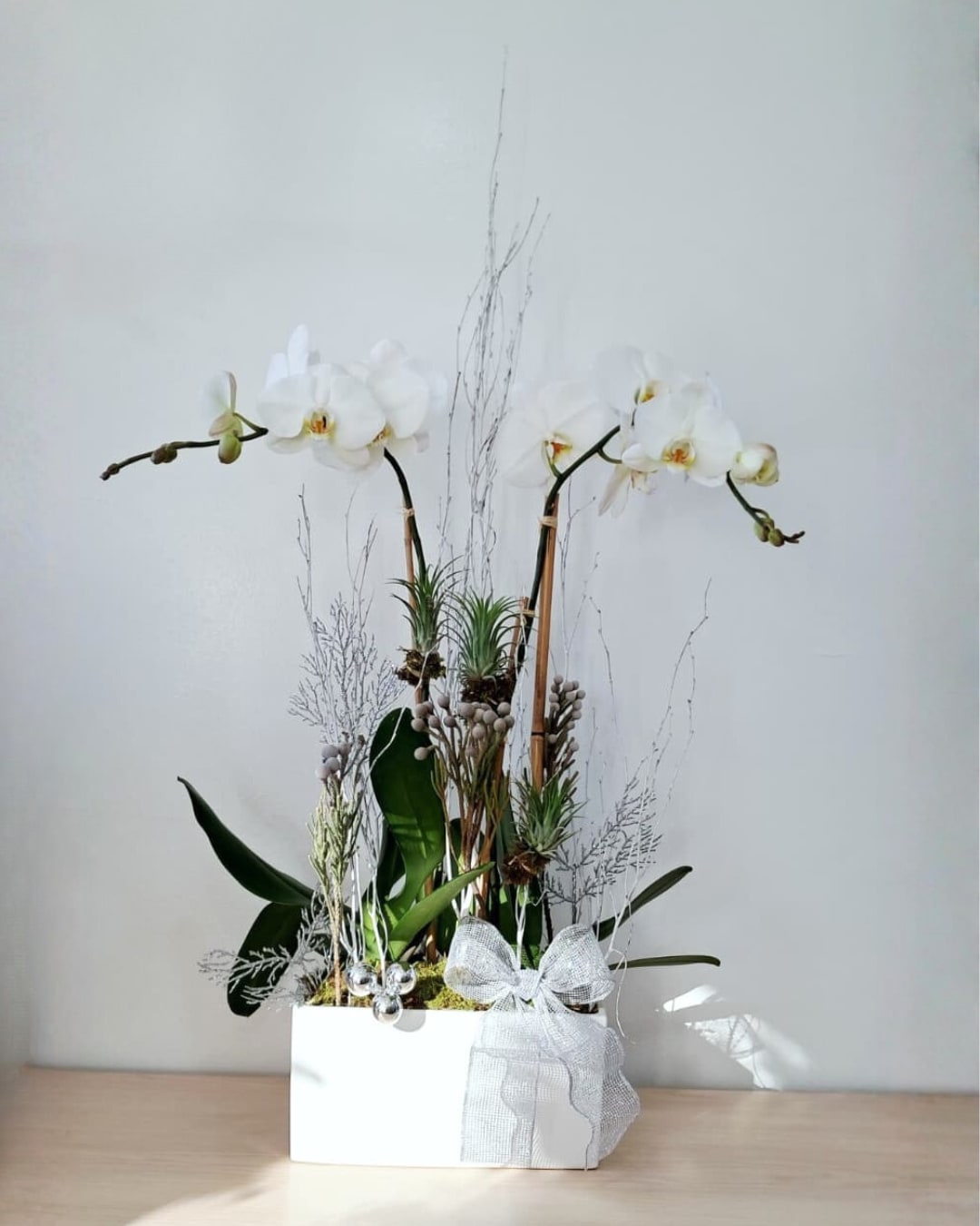 Silver Winter - This wintery arrangement has two white orchid stems with three air plants and additional silver decor. 