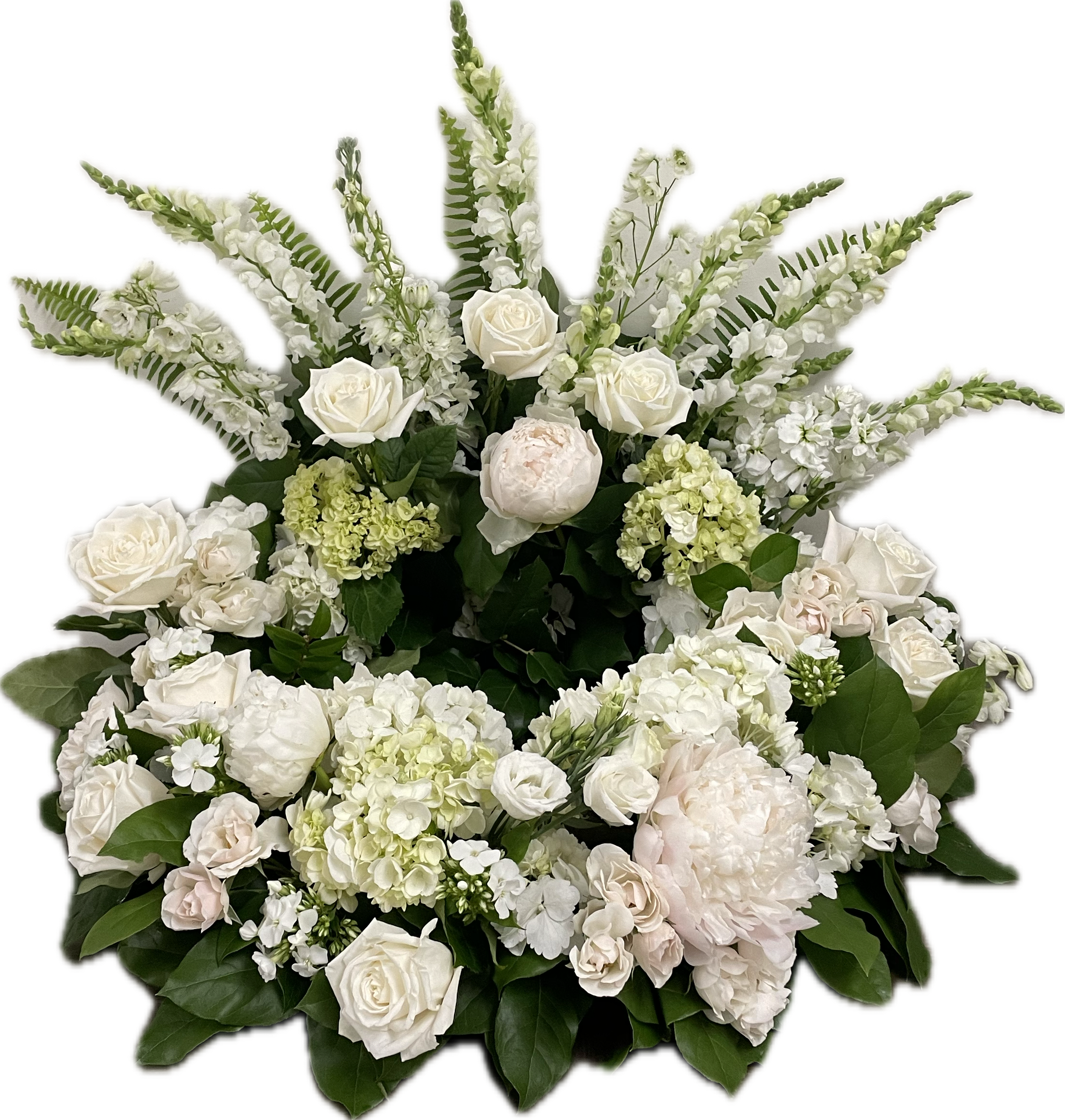Pure Remembrance Cremation Wreath - Pure Remembrance is a timeless and elegant floral tribute of all-white blooms, symbolizing peace and enduring love. This embracing ring of blooms is designed to fully encircle an urn on display. This wreath is designed with a low profile on the front and sides to encompass the urn, sweeping up to frame the urn in the back. The Pure Remembrance Cremation Wreath may include elegant white roses and lush hydrangea, with white snapdragons, stock, and spray roses, or our freshest available arrangement of all white blooms with a soft touch of green to offer a peaceful and comforting timeless tribute.