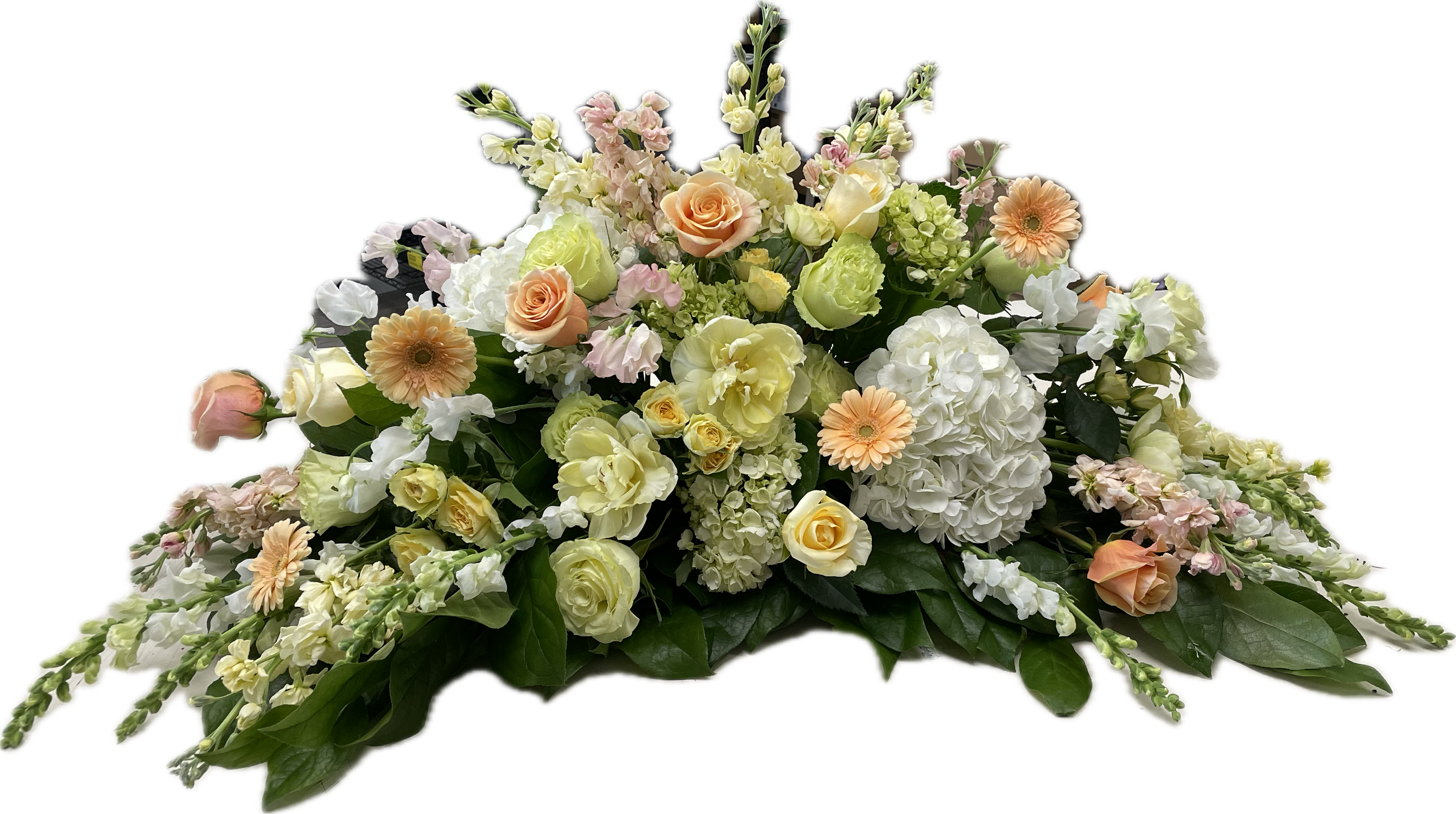 Sweet Peach Comfort Half-Casket Spray - Sweet Peach Comfort is a warm collection of pastel shades of peach and yellow with touches of soft white. This piece brings a sense of peace and solace, honoring a life with grace and beauty. The blooms featured may include creamy shades of peach and yellow in stock and roses, along with white and mini green hydrangeas, gerber daisies, spray roses and gentle blooms of sweet peas or our freshest seasonally available blooms in this palette. A Half-Casket Spray is intended for an open-casket viewing.