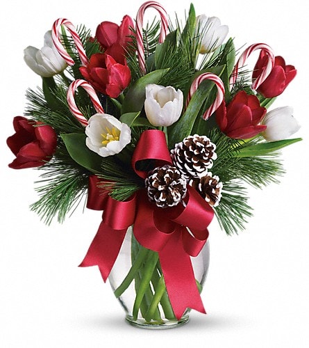 By Golly It's Jolly - Imagine what would happen if you combined everyone's holiday favorites and arranged them in a beautiful Christmas bouquet. The results would be very sweet indeed as they are in this fantastic gift! Bright red and white tulips real candy canes pinecones and holiday greens in a pretty ginger vase come all wrapped up in a pretty holiday bow. Eye candy with real candy what a treat.Approximately 14" W x 15 1/2" H Orientation: All-Around As Shown : T118-2ADeluxe : T118-2BPremium : T118-2C