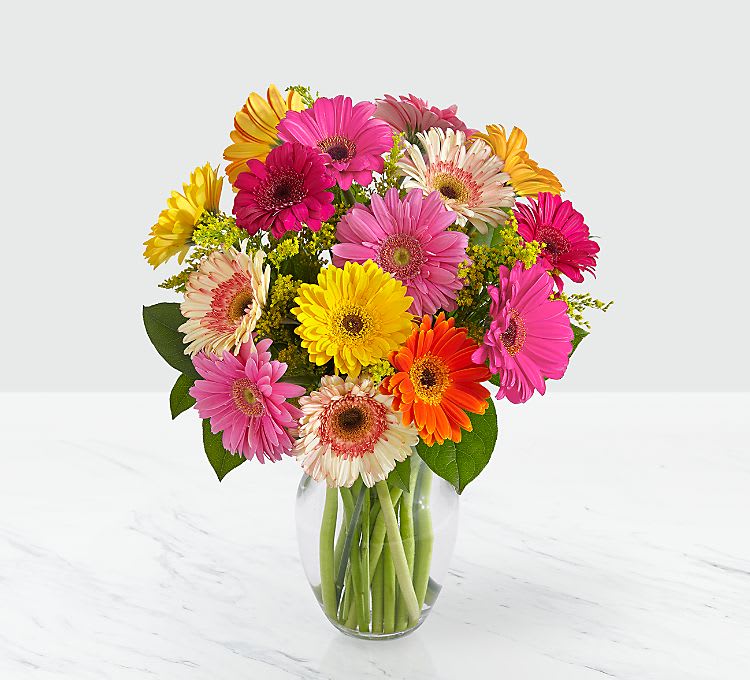 Gerbera daisy - A bright mixture of bright colored Gerbera daisies Perfect for summer ,get well, happy birthday, just because, I miss you! for any event   #Gerberadaisy #birthdayflower #birthdaygift #springflower #flowerarrangement #saintJohnsHospital #saintfrancishospital #oklahomasurgicalhospital #Hillcresthospital #southcresthospital #cancertreatmenthospital #SaintFrancissouthhospital #saintjohn'sbrokenhospitalarrow #oklahomasurgicalhospital #osuhospital #bewell #getwell #feelbettersoon #Samedaydelivery   #back to scool #iddainsummer #beachblasted #august2022 #summersale #sunflowersale #welcomeautumn #sunflower  #BEWELL  #bestfallflowers #getwell  #autumn  #happyfall #Coronavirus #letsgobrandon #youtube  #google  #netflicks #facebook #ticktock Sprink arrangment  Spring flowers  Happy Easter  Spring arrangement  Sprink arrangmet  Spring flowers  Happy Easter  Basket  Spring arrangement  #Spring2024 #easter2024 #Getwell #stfransichospital #stjohnshospital #Hillcresthospital  #Pamhospital  #southcresthospital  #hillcreastsouth #samedaydelivery Thank you #thank you #secretaryday2024 #administrationday #Spring2024 #easter2024 #Getwell #stfransichospital #stjohnshospital #Hillcresthospital  #Pamhospital  #southcresthospital  #hillcreastsouth #samedaydelivery Happy secretary's day  Administrative professional week Thank you for a job well done Bright vase arrangement Happy Easter  Spring arrangement  Thank you #thank you #secretaryday2024 #administrationday #Spring2024 #easter2024 #Getwell #stfransichospital #stjohnshospital #Hillcresthospital  #Pamhospital  #southcresthospital  #hillcreastsouth #samedaydelivery Happy secretary's day  Administrative professional week 
