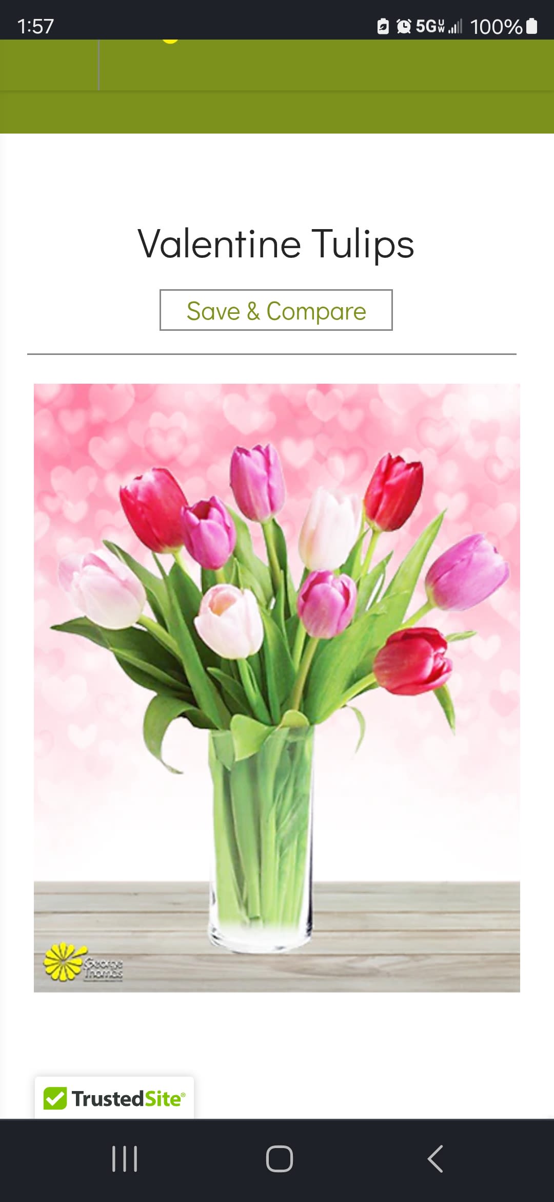 10 mix tulips - 10 mixed color tulips in a vase-$39.95 20-$59.95 30-$79.95  #tulip  #samedaydelivery  #springflower  #spring  #getwell  #feelbettersoon  #birthday  #birthdaygift  #birthdayflower #mom #mothersday #mothers   The is one of the world’s most easily recognized and loved flowers. The meanings of tulips coupled with the immediately identifiable shape of their colorful blooms make them a comfortable flower choice. They are not too elegant, too romantic, too big, too small, or too bright; the tulip is always just right. They are like a favorite pair of jeans or your mom’s fresh-baked cookies in that the meanings of tulips express genuine coziness and comfort in all of the right ways.  The tulip originated centuries ago in Persia and Turkey, where it played a significant role in the art and culture of the time. Most likely commenting on the Turkish tradition of wearing tulips in one’s turban, Europeans mistakenly gave tulips their name, which comes from the Persian word meaning turban. As Europeans began taking to tulips, the flower’s popularity spread quickly, particularly in the Netherlands where a phenomenon dubbed tulip mania set in at one point during the 17th century. Tulips became so highly-prized that prices were sent soaring and markets crashing. Tulips are now grown throughout the world, but people still identify cultivated varieties as “Dutch tulips.”  The meaning of tulips is generally perfect love. Like many flowers, different colors of tulips  