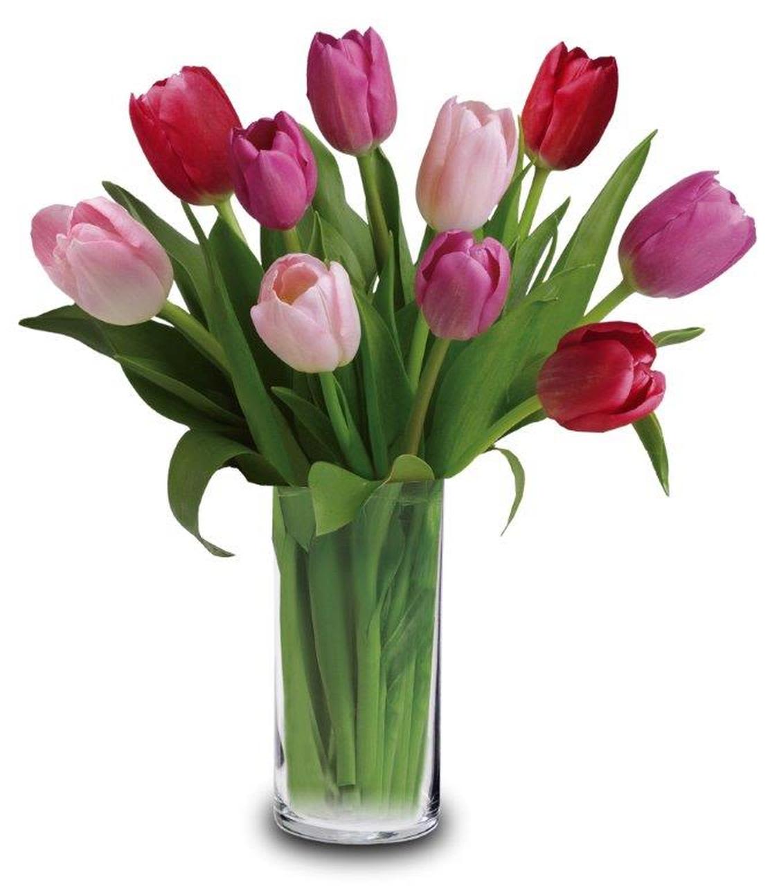 red, white and pink tulips - red, white and pink tulips 10/39.95 20/59.95 30/79.95