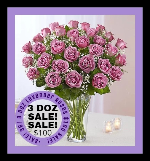 SALE LAVENDER  ROSES 36 - SALE 36 LAVENDER ROSES 36 / 3 doz lavender roses in a vase Sale 36 LAVENDER ROSES #backtoschool #autumn  #welcomfall #lavender #purple #sale #roses #lavenderroses #3dozenroses  #FALLFLOWERS #AUTUMN #freevase #freevase #BETHANKFUL #FAMLIYANDFREINDS #BESTFLOWERS #SAMEDAYDELIVERY #fromyouflowers #justflowers #happyfall #Coronavirus #letsgobrandon #youtube  #google  #netflicks #facebook #ticktock #Israel #peaceforIsrael 