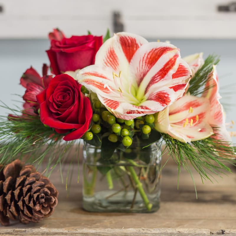 Cuddly Christmas  - This arrangement is sure to warm the hearts of anyone this holiday season 