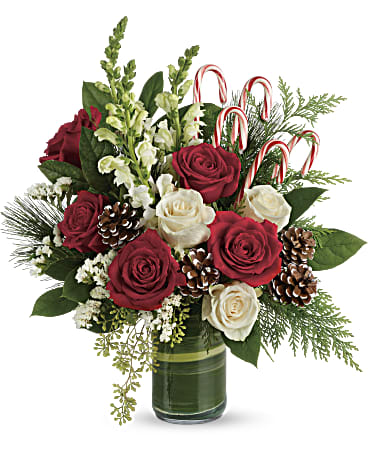 Teleflora's Festive Pines Bouquet - An instant Christmas party, this festive bouquet bursts with fresh blooms of red and creme colored roses with winter greens and fun-filled candy canes