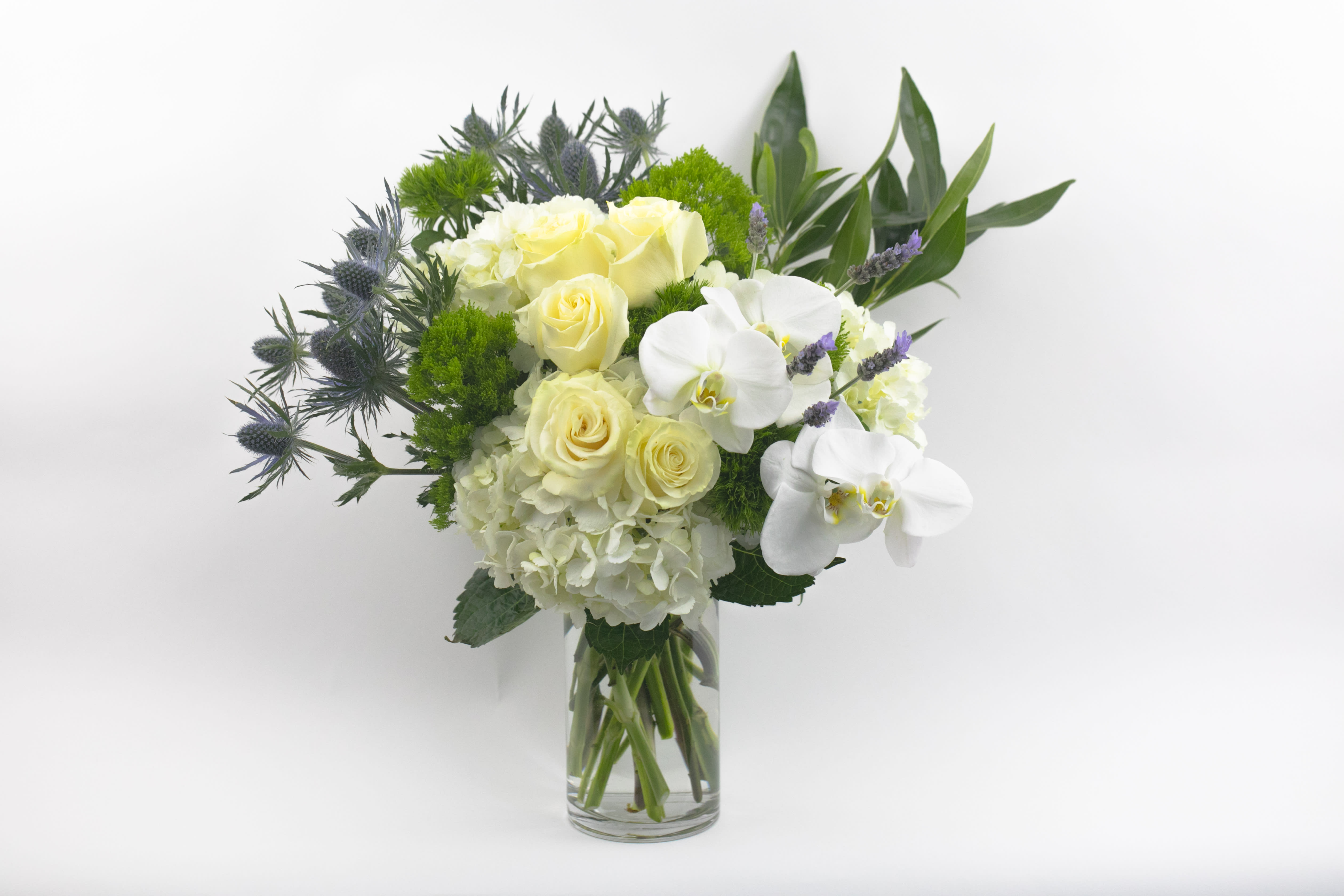 TREASURED MEMORIES - VASE OF MIXED WHITE FLOWERS WITH ORCHIDS AND ROSES   Abundant, Elegant, Beautiful. A stunning vase arrangement of mixed white flowers with accents of lavender and silver. A perfect white stem of Phalaenopsis orchids star alongside fluffy balls of white hydrangea and white roses. Interesting textures and shapes blend with more traditional blooms for a stylish look.  These flowers are perfect for people who love classic luxury and style.  Send this vase of flowers to wish someone a special happy birthday. Deliver to a client, friend or colleague in recognition of an achievement or as a thank you. These flowers also make a beautiful sympathy gift.  Why not add a greeting card, bunch of local dried lavender or quality handmade candle to match the occasion or personality?  Treasured Memories features: ·        Long-lasting white Phalaenopsis orchid blooms  ·        Fresh white roses ·        Silvery thistle ·        White hydrangea ·        Lacy green trachelium ·        Moss green dianthus ·        Cottage-garden lavender ·        Ruscus foliage ·        Clear glass cylinder vase   SIZE: The STANDARD flower arrangement is approximately 18” height and 16” width.   ALLERGY ADVICE: This design has low pollen and a low-moderate fragrance.     FAQ Q: What time will my flowers arrive and what if no-one is there to accept them? A: Excellent question! We’re unable to provide or guarantee specific delivery times. All our flowers are delivered anytime between 9-5pm, with exception to Sympathy designs for a funeral service. For full details around our delivery process and timings, please see our Terms and Conditions. Q: What days do you deliver flowers? A: All our flowers are available for San Francisco and Daly City delivery seven days a week, between 9am-5pm. Q: May I order for the same day delivery? A: Yes, same day deliveries are available if you place an order before 1pm. Q: May I request to change the design a bit? A: Yes, please make a note in the SPECIAL INSTRUCTION box when you place your online order. We will do our best to follow them. Q: Will my flowers look exactly as what is pictured? A: Depending on the season, colors or shades may vary. Sometimes we need to substitute flowers due to seasonal availability, but they’re always substituted for the same or greater value.   Ready to bring floral beauty into someone’s world with our mixed white vase of flowers? Order this gift online now or give us a call on (415) 752-2060 if you have a question or special request. 