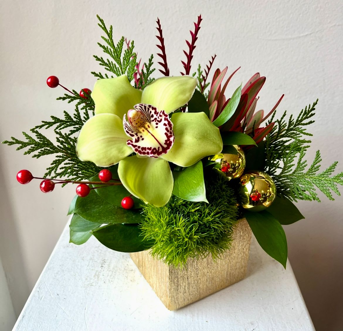 Holiday Mini - IN STORE PICKUP ONLY - 2 available - Mini Arrangements in 3" gold ceramic cubes with a Green Orchid