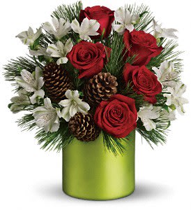 Christmas Cheer Bouquet - When you want to send a bouquet that's full of elegant Christmas cheer, this is a splendid choice. The holiday colors and the mix of soft satiny textures with natural, foresty touches are simply exquisite.  Bright red roses and white alstroemeria are arranged with white pine branches and real pinecones in a cylinder vase. It's a beautiful way to send a cheerful holiday message. 