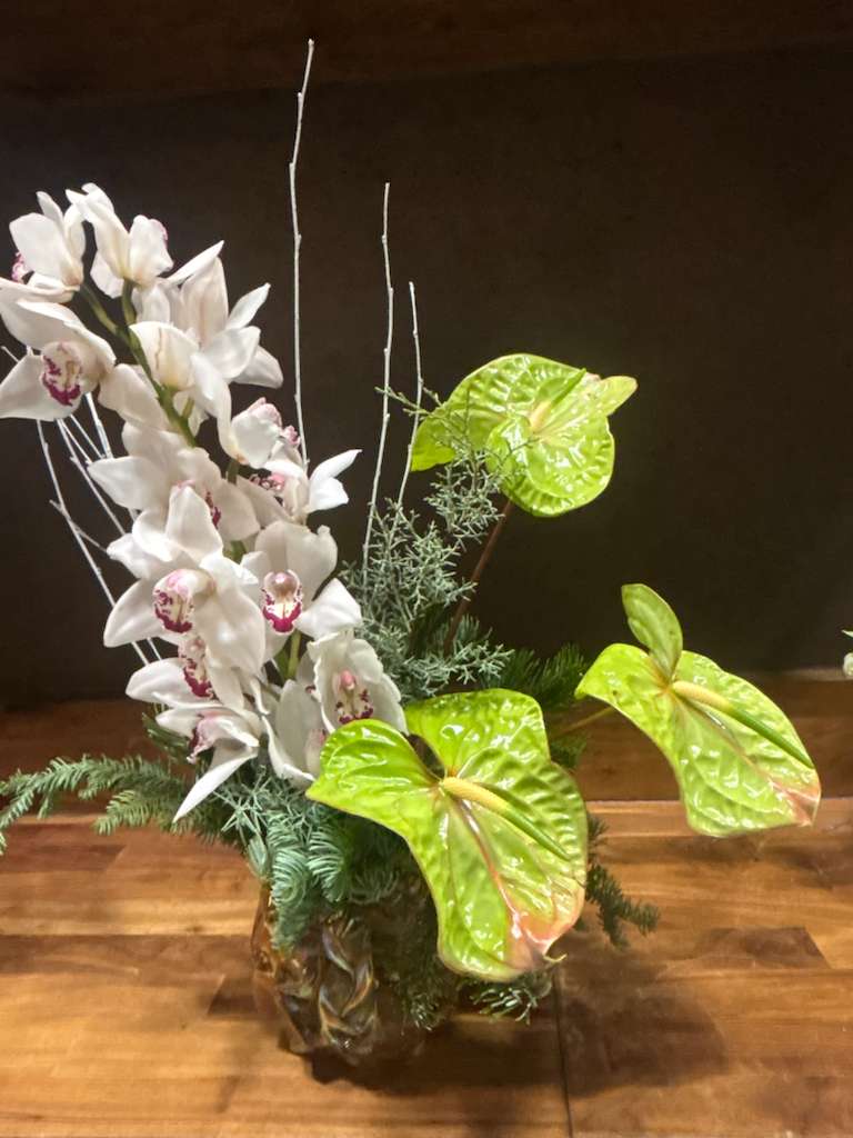Liminal Bloom - This elegant arrangement features a striking blend of textures and tones, centered around pristine white orchids with soft pink throats that lend a delicate, romantic touch. Glossy green anthuriums add bold structure and a tropical flair, their heart-shaped leaves contrasting beautifully with the orchids’ gentle curves. Accents of pine-like greenery and frosted white branches evoke a wintry mood, grounding the composition with seasonal charm. Nestled in a rustic brown vase, the overall effect is both serene and sculptural—perfect for a holiday setting or a moment of quiet celebration
