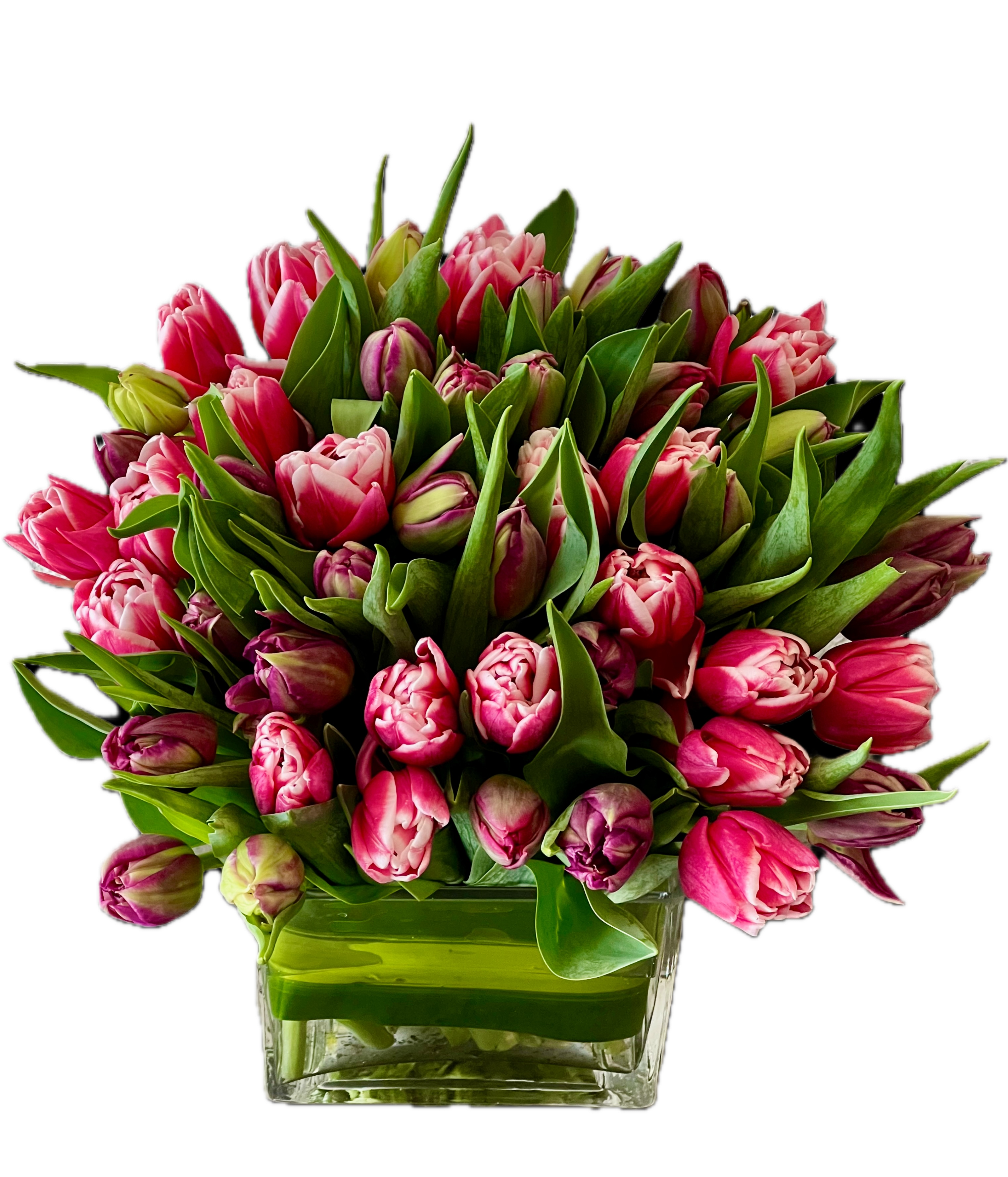 Tulip Mix  - A mixed-color tulip arrangement in a vase is a vibrant and elegant display featuring tulips in various hues—such as red,  hot pink,  and purple—artfully arranged to create contrast and harmony. The tulips’ smooth, cup-shaped petals and graceful green stems bring a fresh, lively feel, while their natural curvature adds movement. Placed in a clear or decorative vase, the bouquet radiates a cheerful, spring-like charm, perfect for brightening any space.
