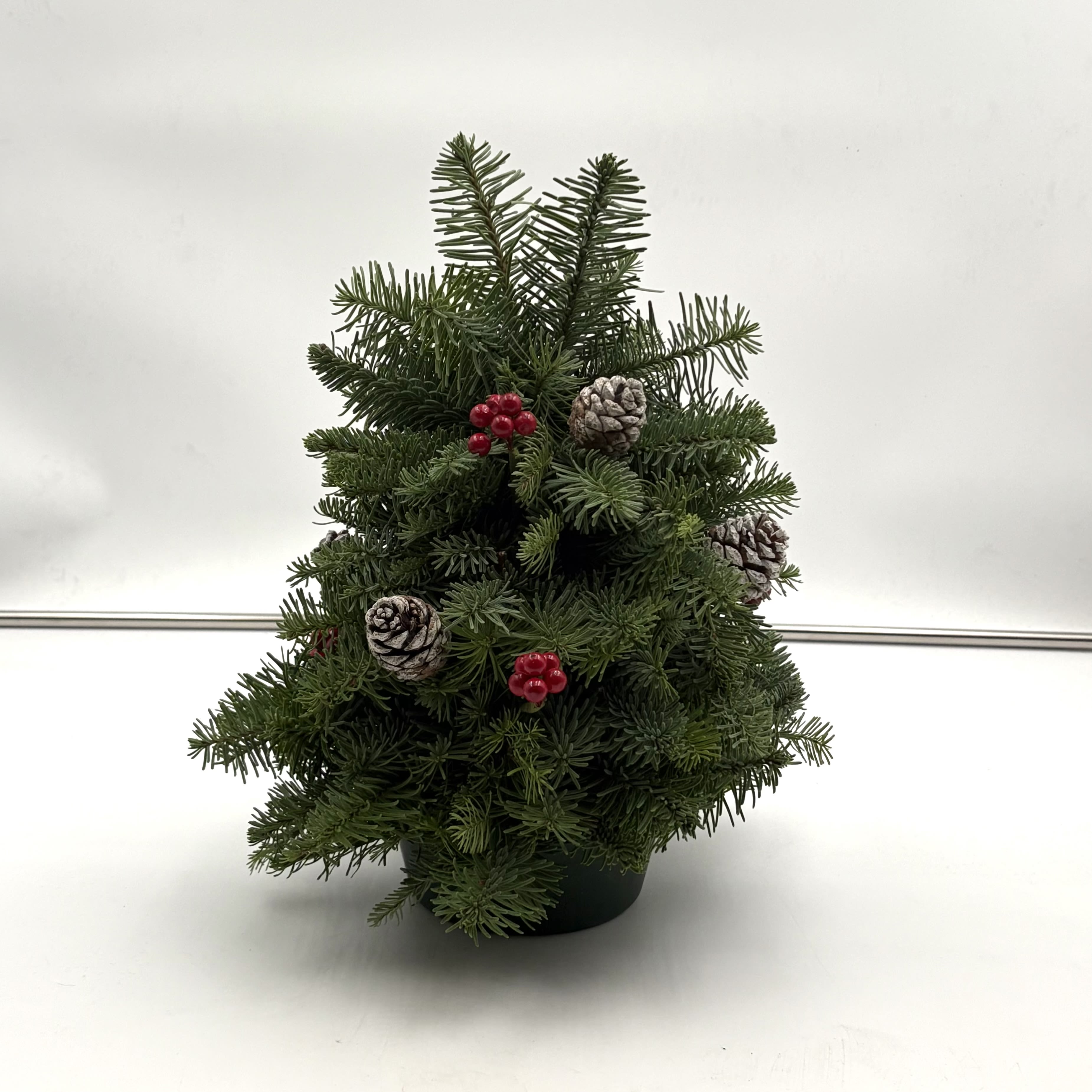 Tabletop Tidings - This table top Christmas tree is an adorable accent to any small table or entryway. Dress it up with some fairy lights, and your ready for Santa! Perfect gift for someone who may not want the hassle of putting up a big tree anymore. Tree measure 15 inches high