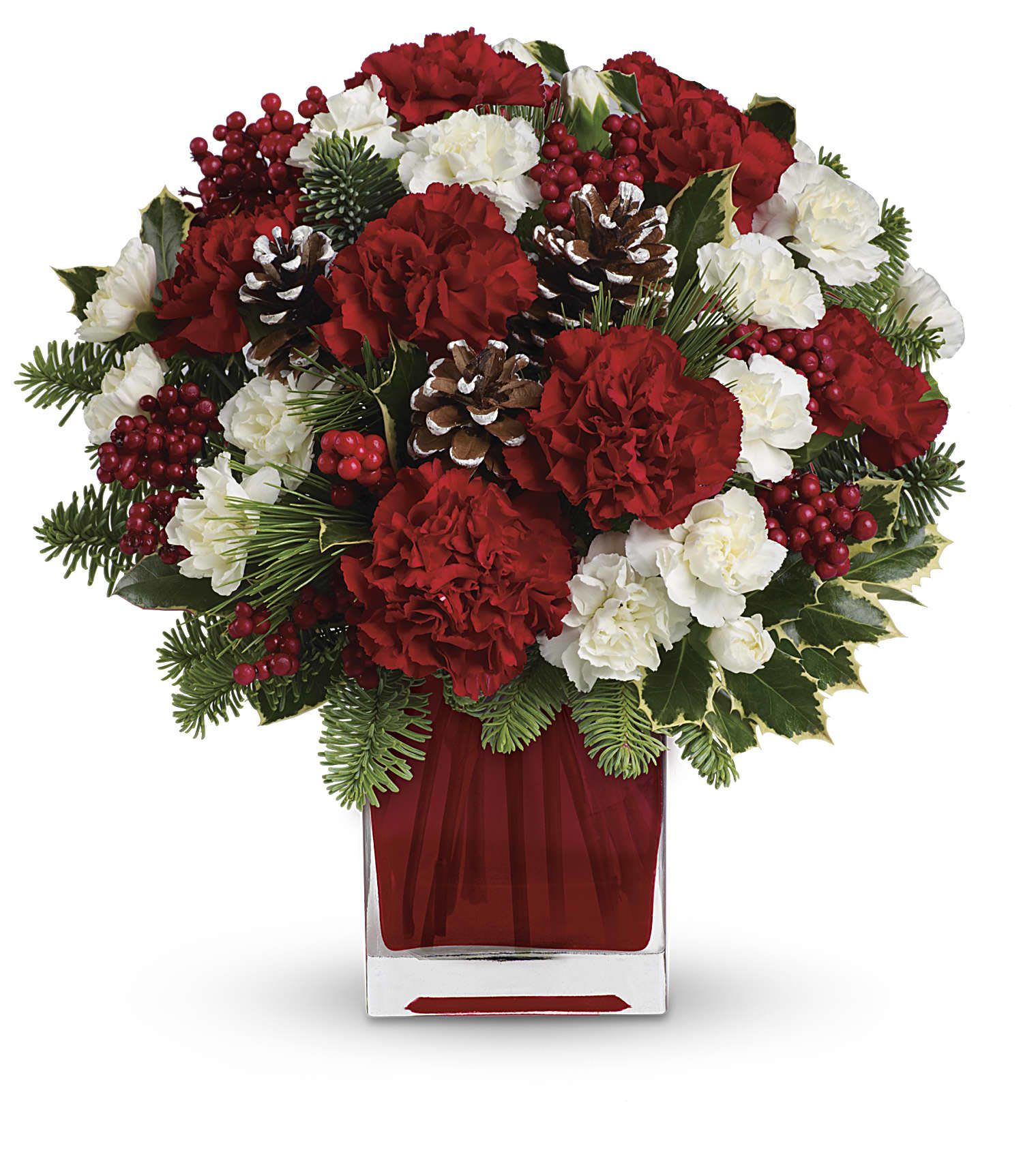 Make Merry  On Sale  - Make them merry with this sweet bouquet! Red carnations and white carnations are beautifully presented in our bright red glass cube.The shape of the vase may vary.  13''H x 13.5''W