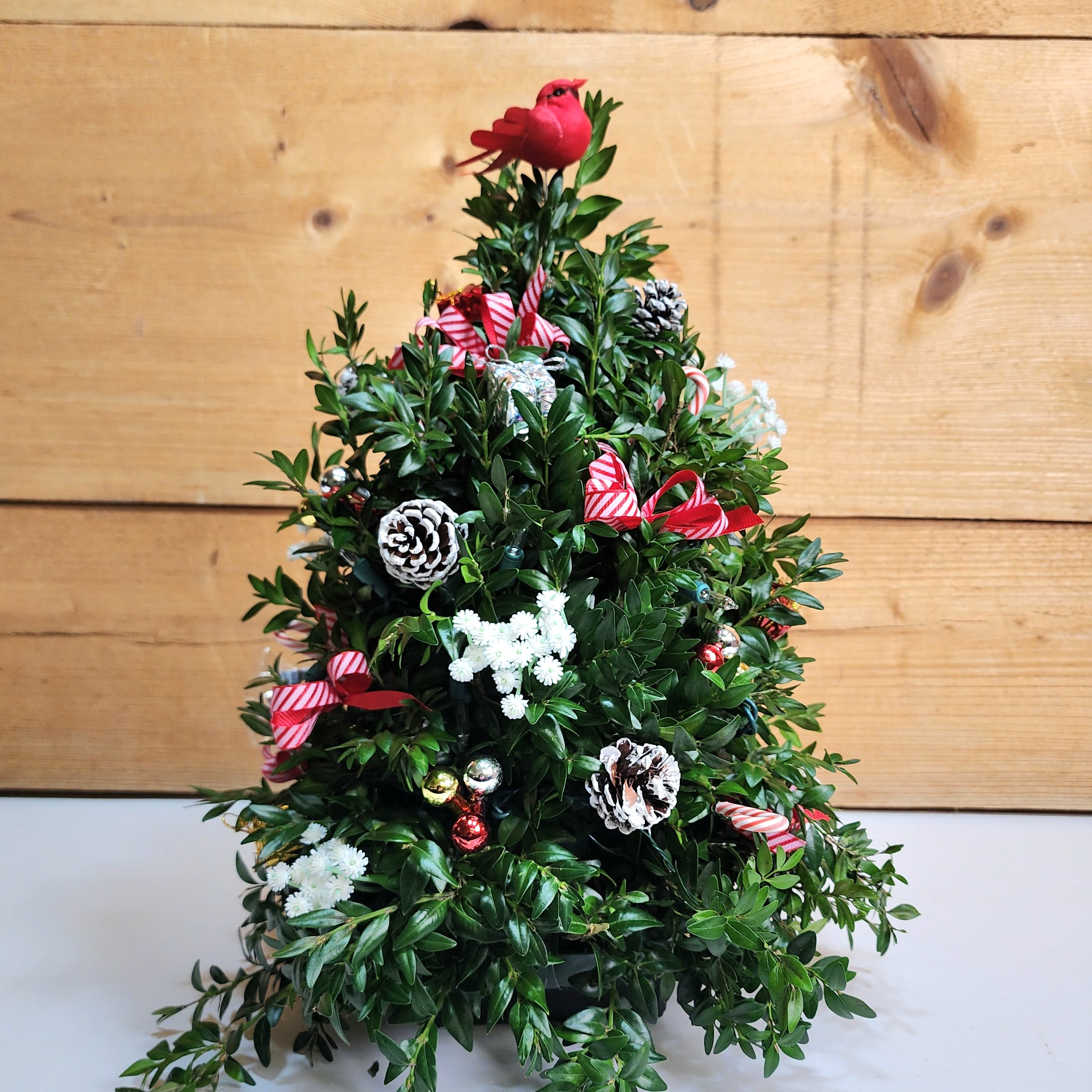 Small 15" Boxwood Tree - Small Boxwood Tree 15 inch with decorations featuring elegant boxwood stems that are hand arranged to look like a mini Christmas tree, complete with all the festive trimmings including lights. Decorations may vary. Our boxwood trees are made using a floral foam base.  If recipient adds water to the top of the tree to saturate the foam, it should last through the holiday season.    PLEASE NOTE: Some flowers, vases and other products pictured are subject to availability, and may be substituted for a similar item if unavailable according to our substitution policy.