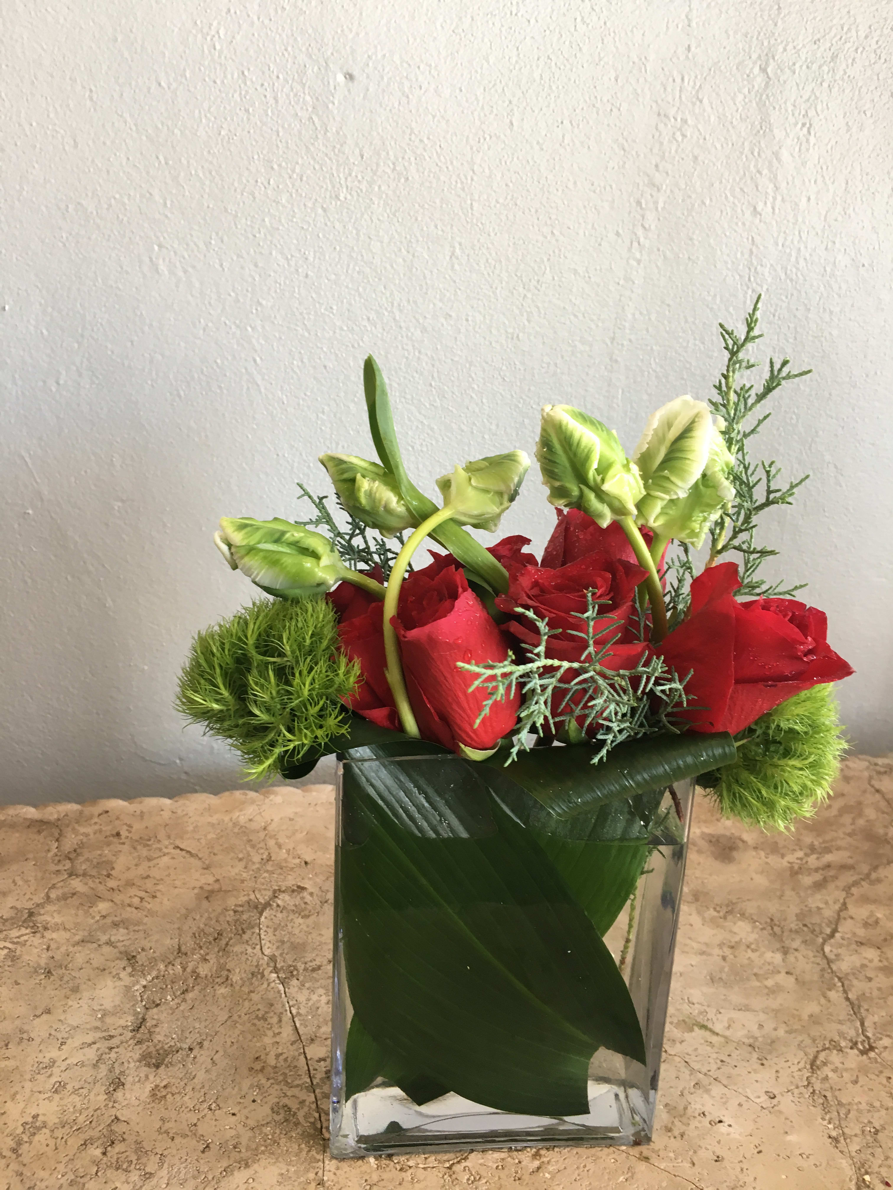 Tulips Embrace - Delight your friends or family with this lovely gift of tulips, red roses, green Christmas bushes in a cylinder vase wrapped with green leaf. You will be remembered for making someone’s day very special. 