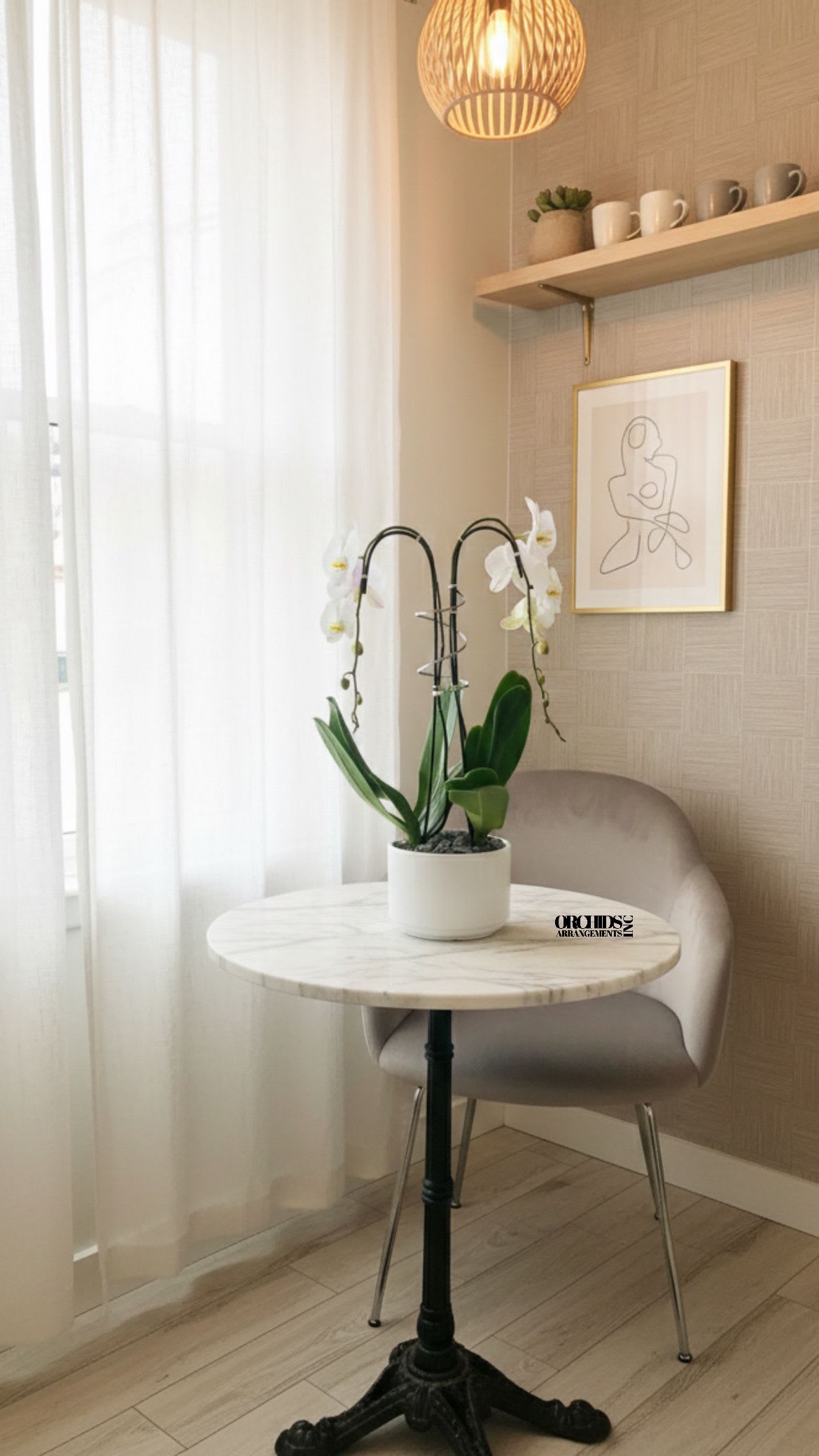 Same Day White Orchids Phalaenopsis - A high quality Double white orchid arrangement with a vase 8.5" D X 6" T. An orchid arrangement flower deliver for any occasion design with fresh natural real beautiful Phalaenopsis cascade orchid plant minimalist decor.