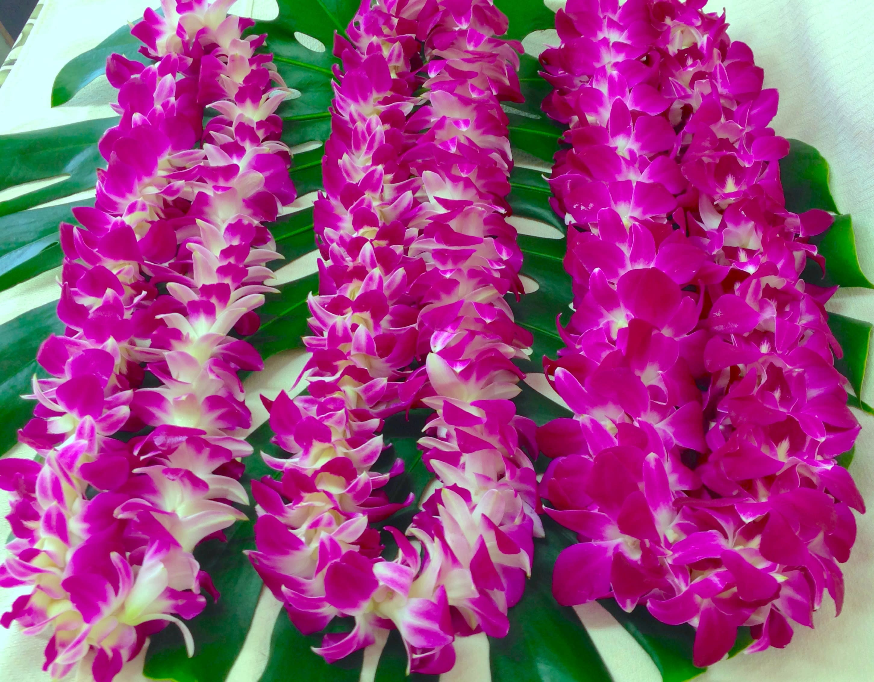 Bombay Orchid Lei - Basic orchid lei. For graduations, birthdays, anniversaries, or simply just because. Quantity prices available.   