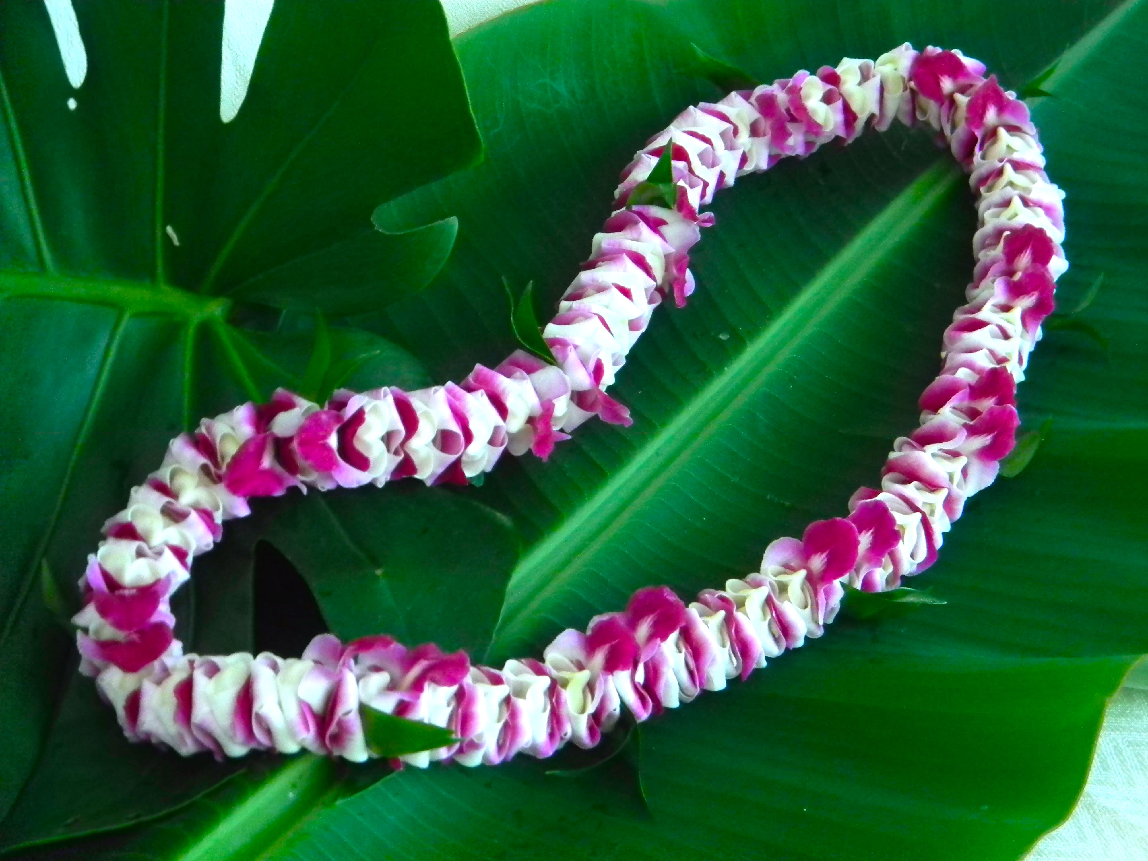 Mana Lei - Intricate orchid petal design