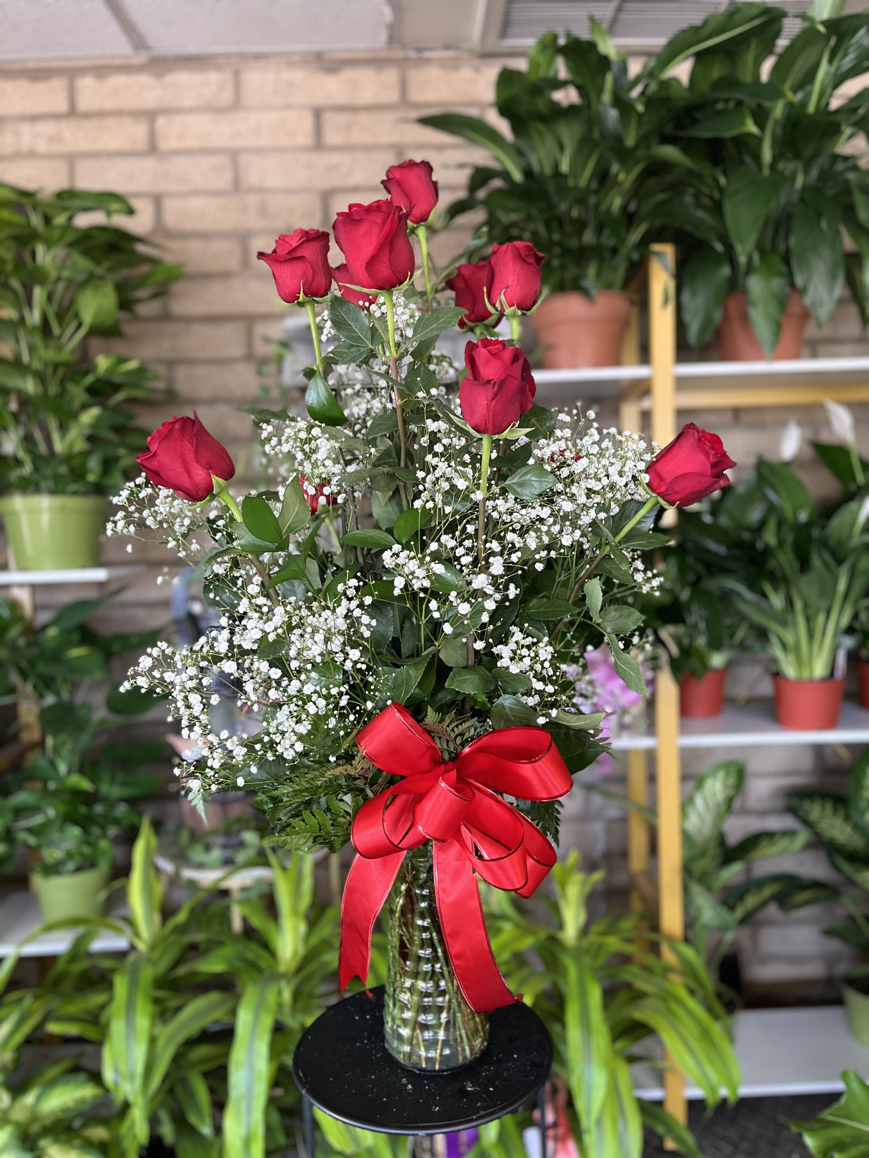 Dozen  Roses  - fresh twelve roses , regular  size of roses 