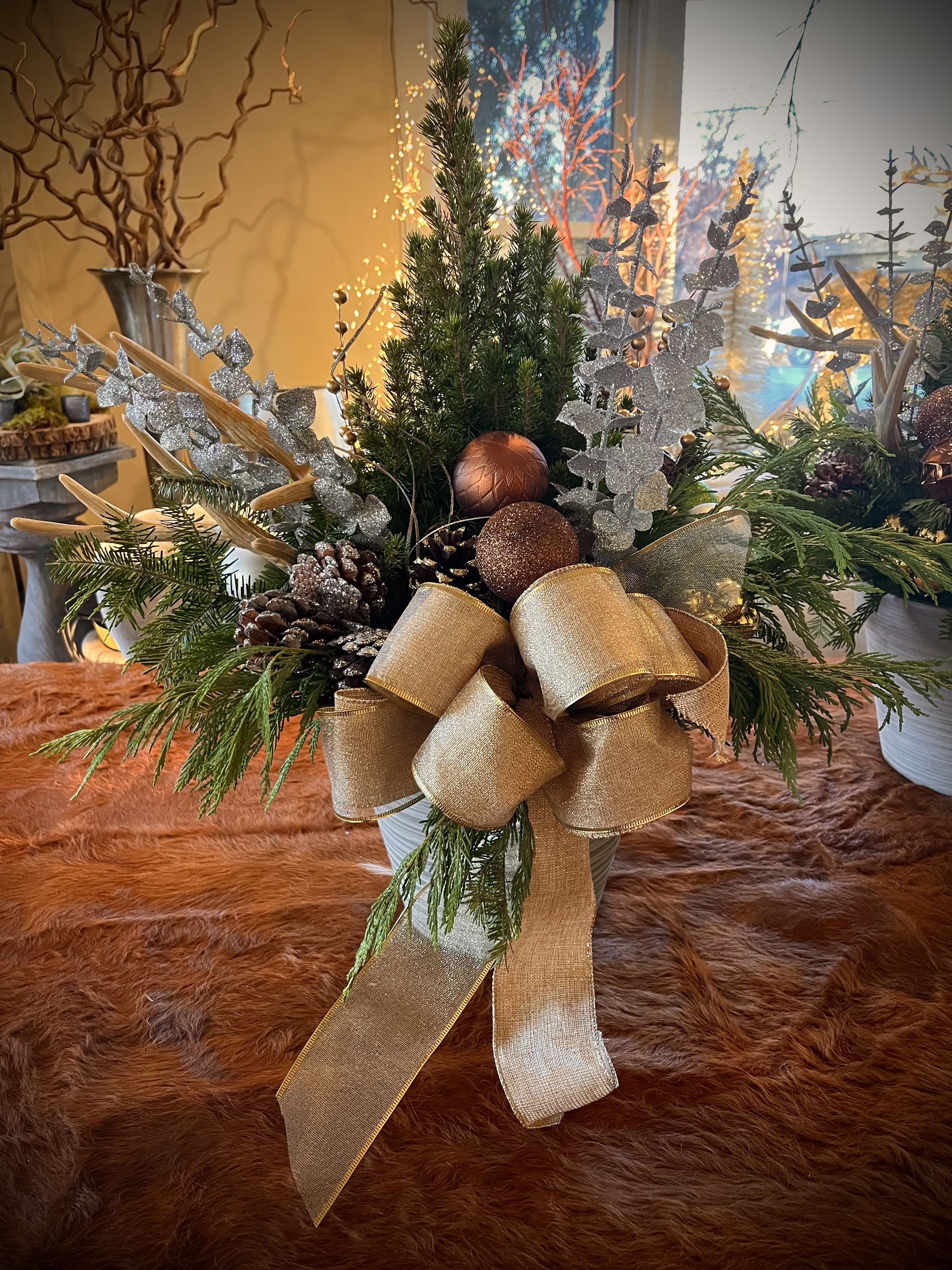 Winter Living Planter  - Dwarf Alberta Spruce decorated with tasteful winter ribbon and accessories.   2 for $150 3 for $225