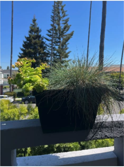 Designers by Lee - Whismical