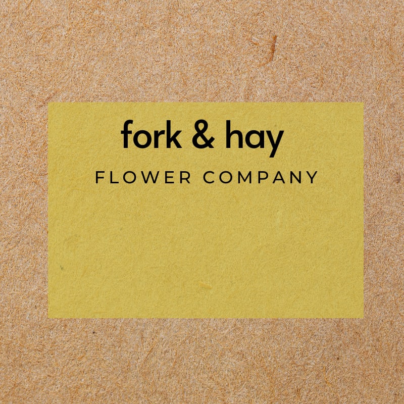 Test - Fork - Test - Fork