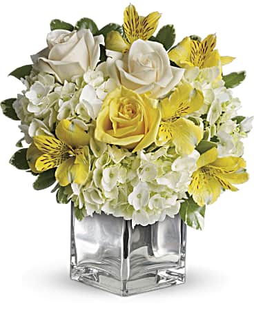 Sweetest Sunrise Bouquet - This sparkling array of sunny favorites in a silver cube vase will be the star of any room. It's a sweet gift she'll love to receive - and you'll be proud to give. Sweet price, too. The cheerful bouquet includes white hydrangea, yellow roses, cr&egrave;me roses and yellow alstroemeria accented with fresh greenery. Delivered in a contemporary glass 4x4" cube with a mirrored silver finish - arrangement measures approx. 11.5x11" for Standard size, 12.5x12" for Deluxe, and 13x13.5" for Premium.